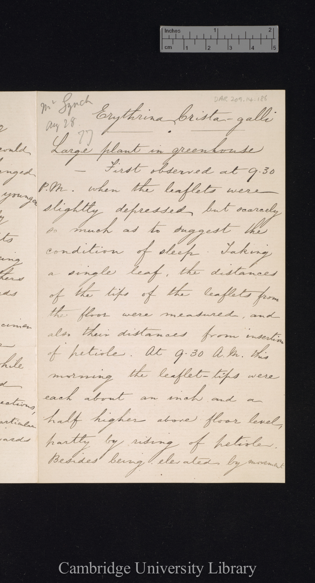 [Richard Irwin Lynch] to Charles Robert Darwin