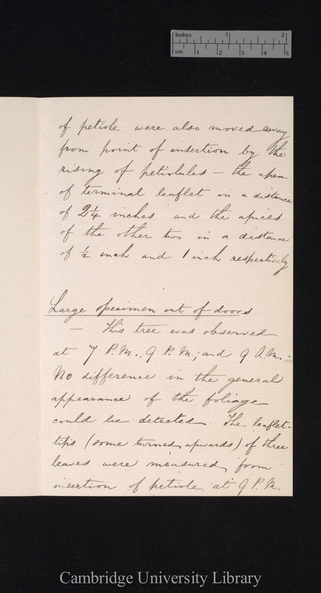 [Richard Irwin Lynch] to Charles Robert Darwin