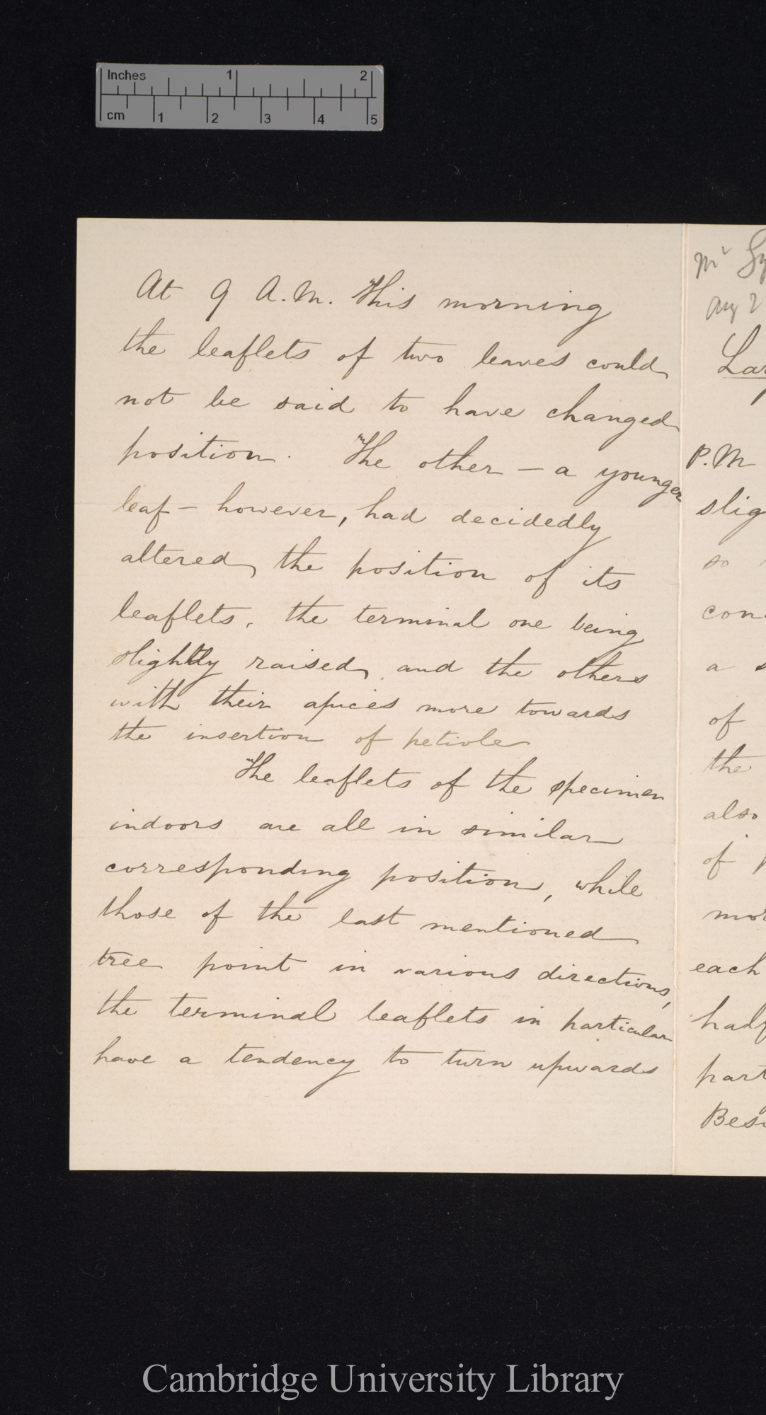 [Richard Irwin Lynch] to Charles Robert Darwin