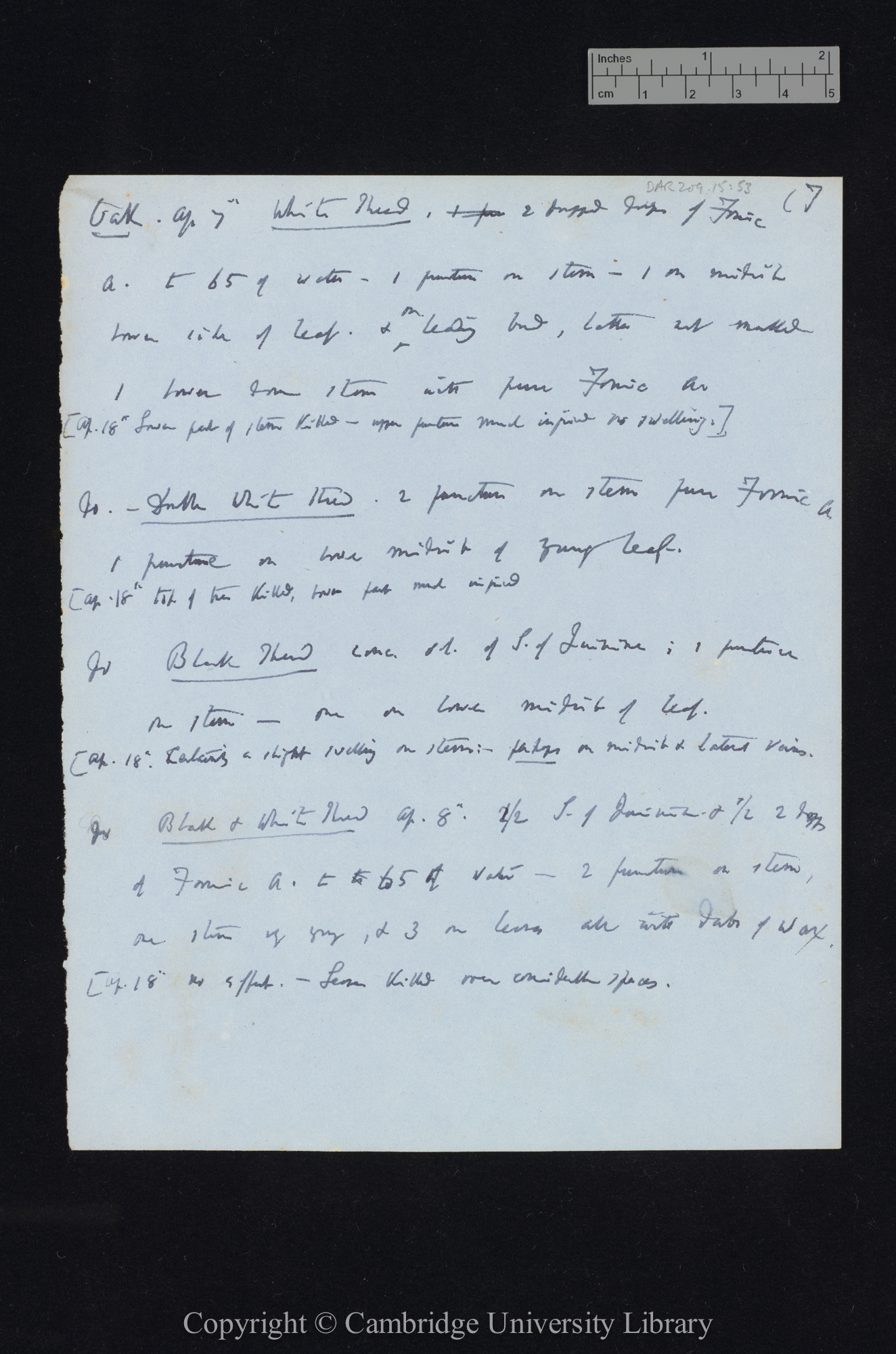 Cereus / Crassula / Pelargonium zonale / Quercus / Rose / Vicia faba / Trifolium resupinatum [application of sulphate of quinine, formic acid, valerianic acid, capsoic[?] acid, propionic acid, butyric acid]