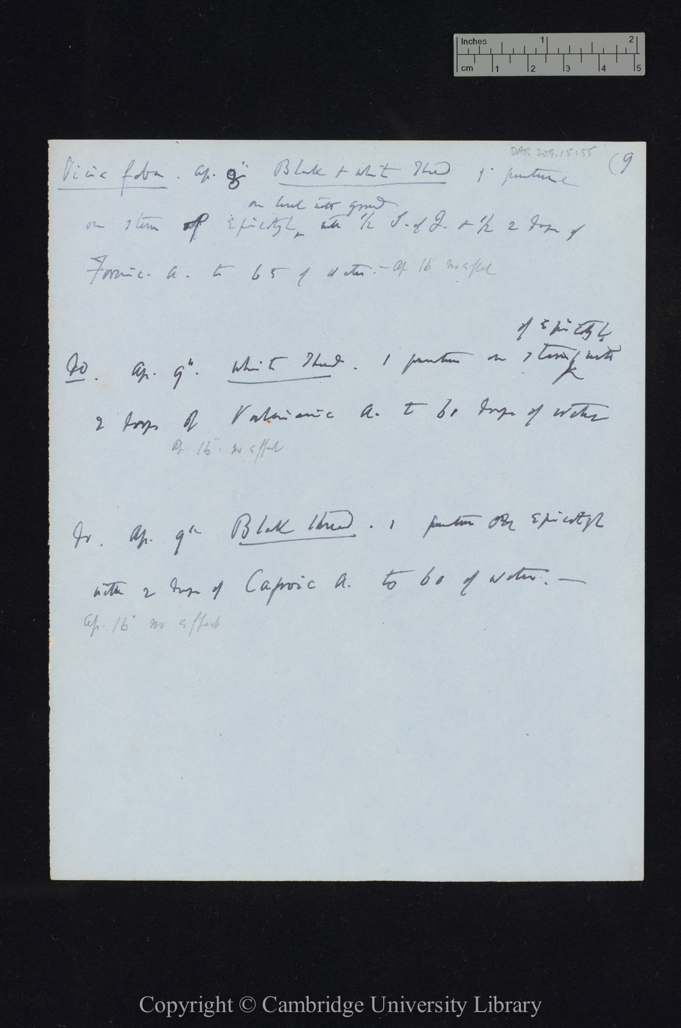 Cereus / Crassula / Pelargonium zonale / Quercus / Rose / Vicia faba / Trifolium resupinatum [application of sulphate of quinine, formic acid, valerianic acid, capsoic[?] acid, propionic acid, butyric acid]