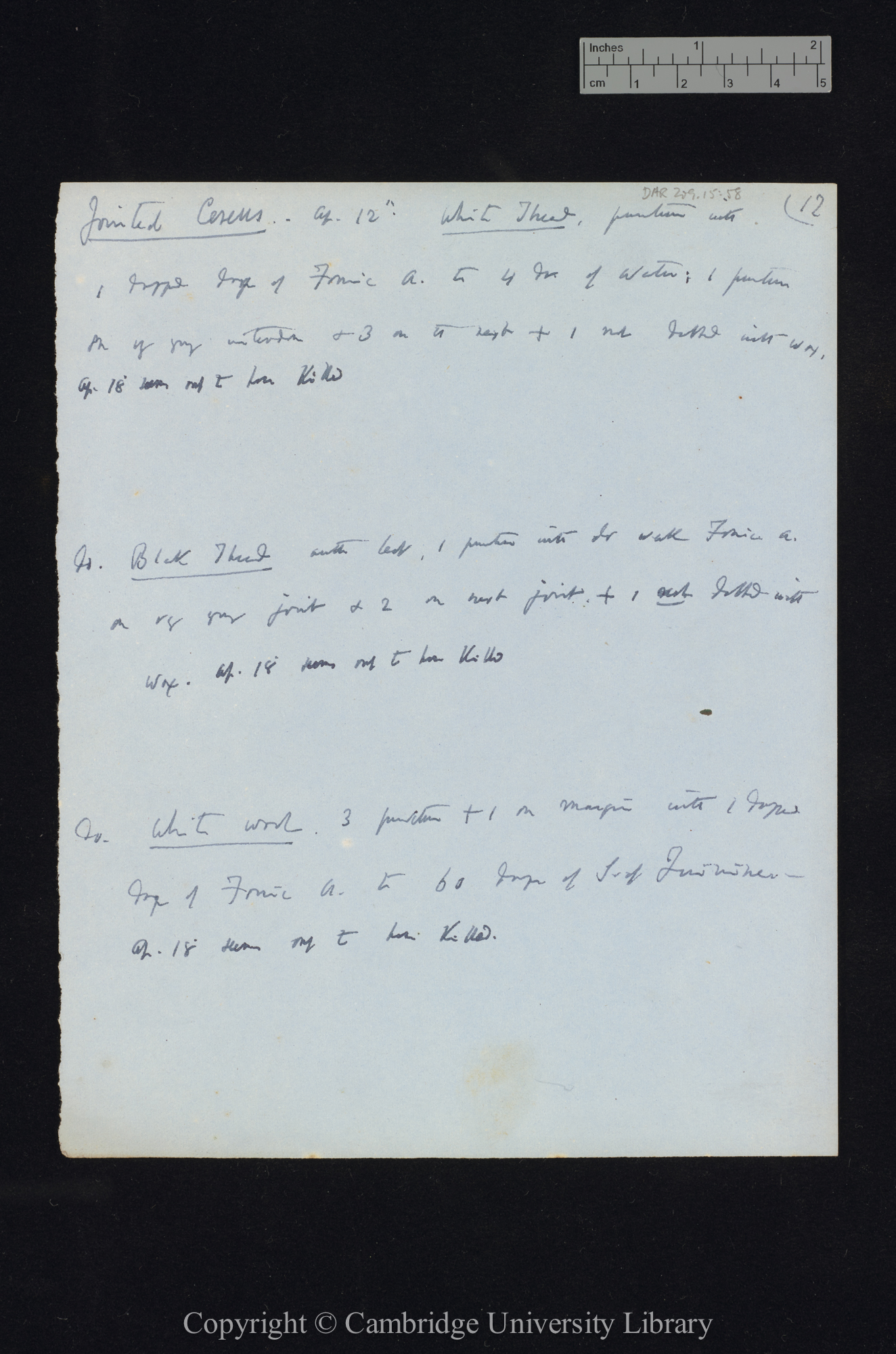 Cereus / Crassula / Pelargonium zonale / Quercus / Rose / Vicia faba / Trifolium resupinatum [application of sulphate of quinine, formic acid, valerianic acid, capsoic[?] acid, propionic acid, butyric acid]