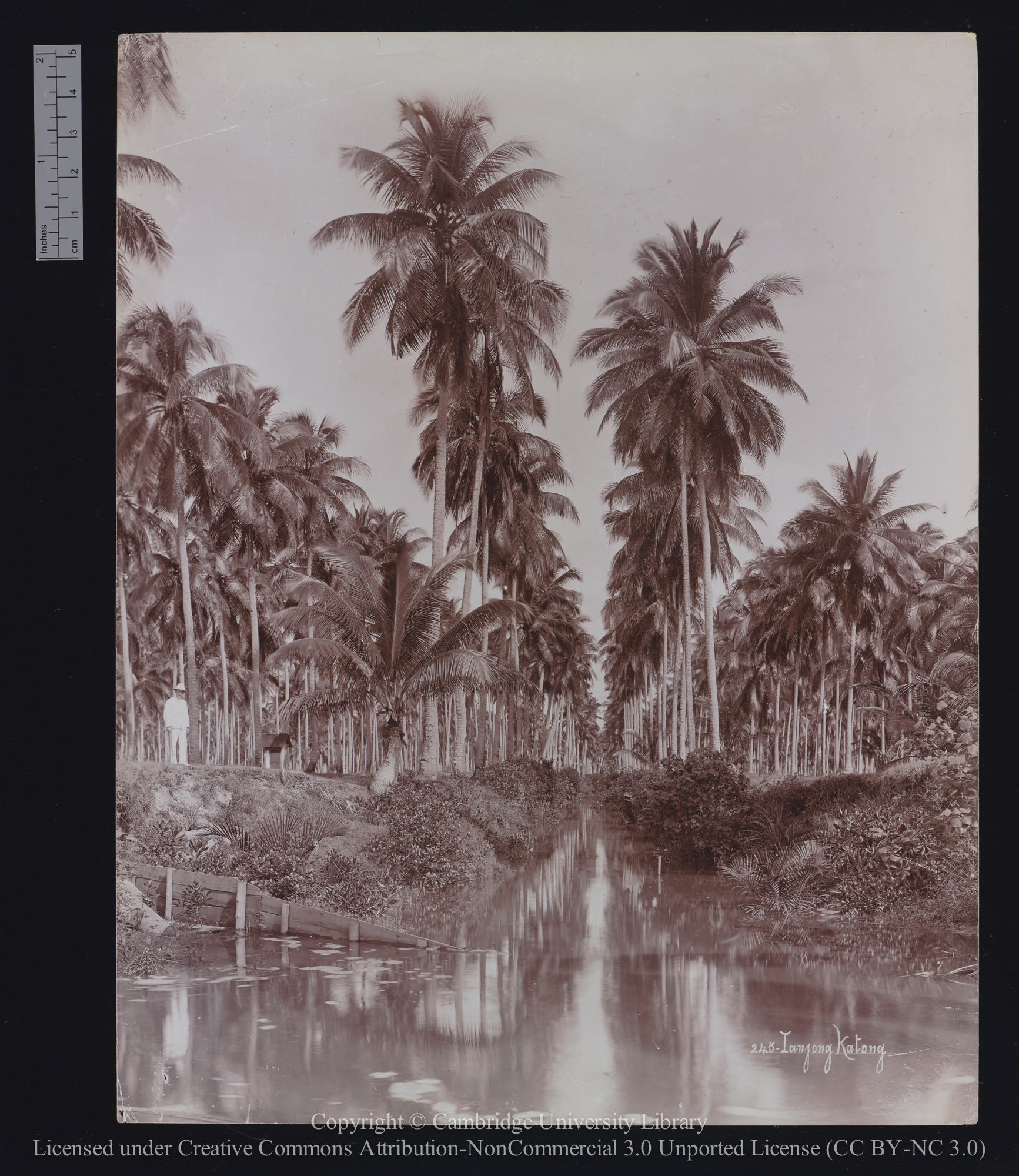 Tanjong Katong, 1900