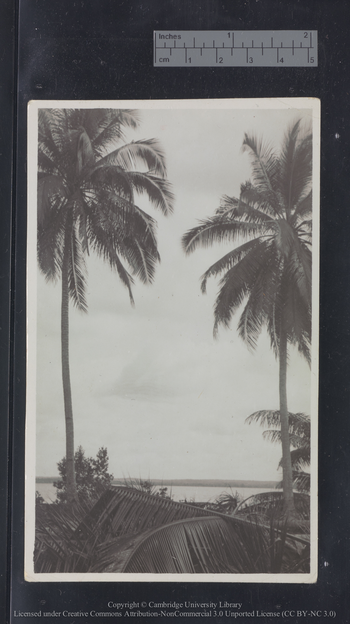Straits of Johore, Malaya, 1936, 1936