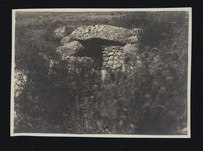 Cyclopean tomb: view of it embedded in the landscape and foliage