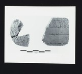 52-115, 52-109 clay tablets with Linear B script, House of Oil Merchant, Room 2, MY Oe 115, MY Oe 109