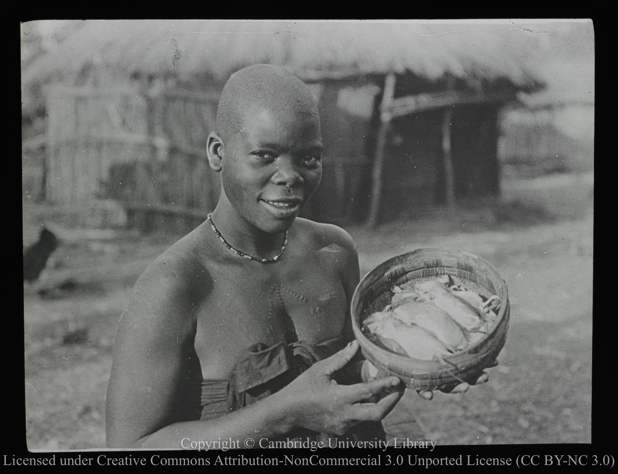 Young African showing basket containing dead rats (?), 1900 - 1947