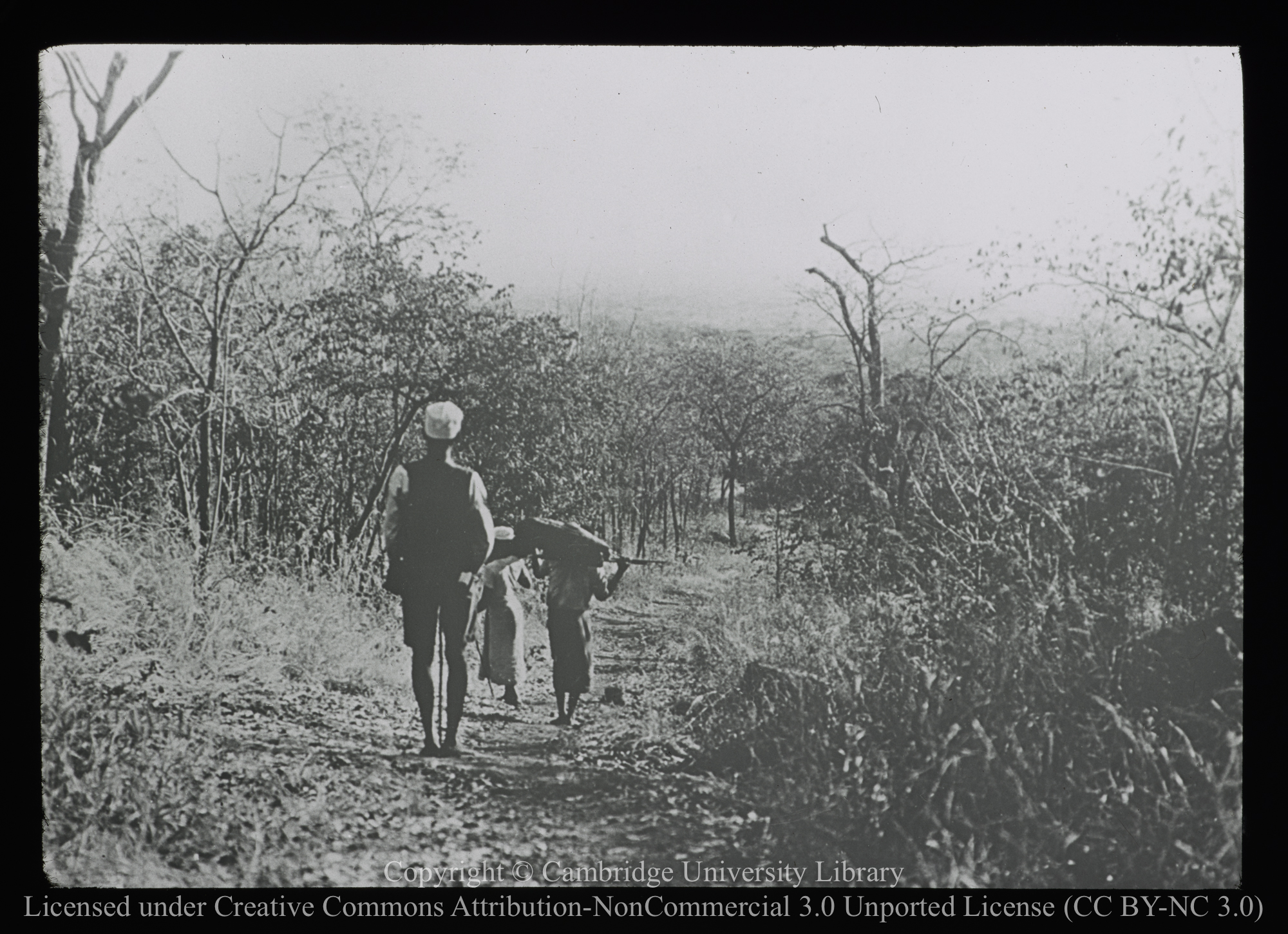 In the bush, 1900 - 1947