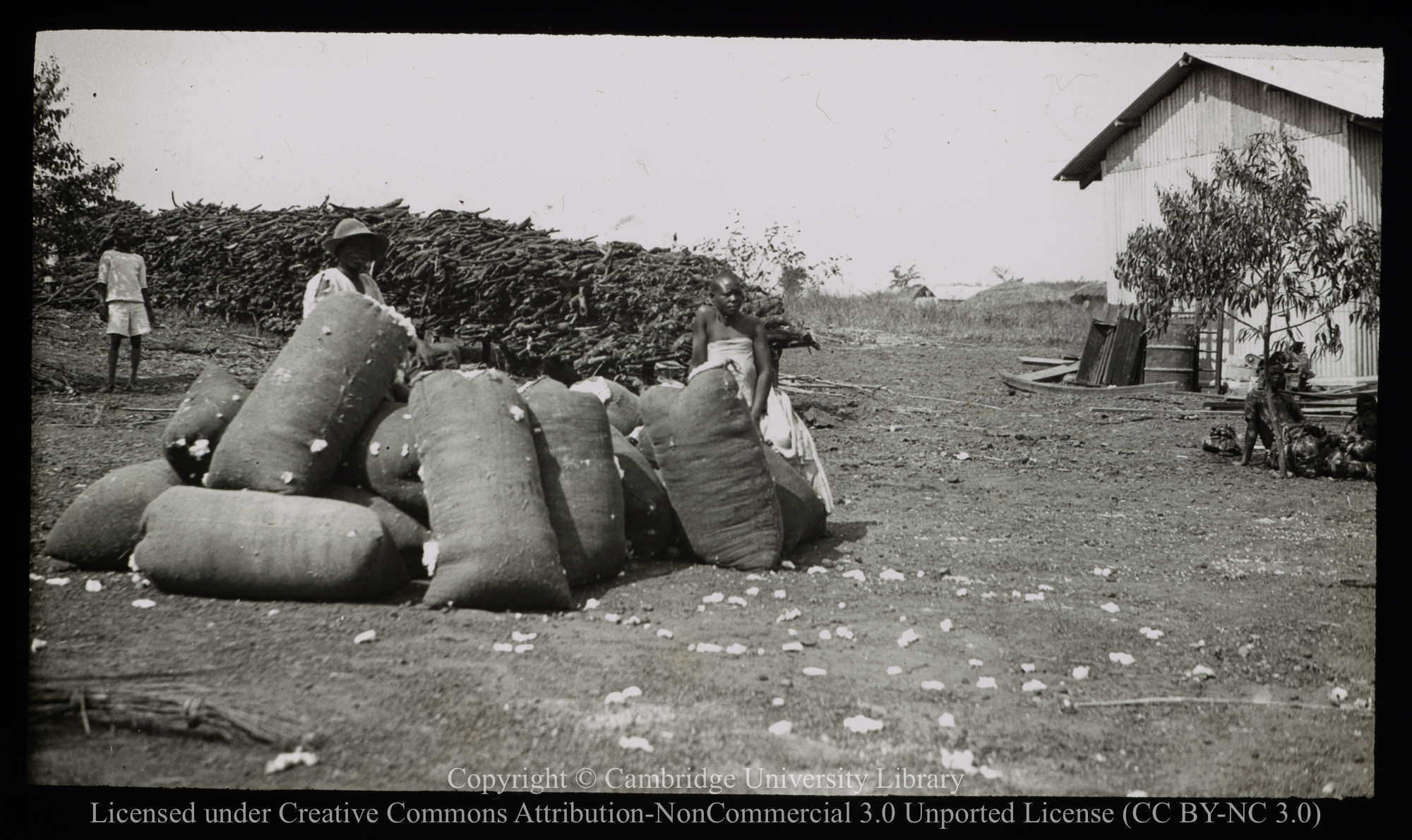 Workers with filled sacks, 1937