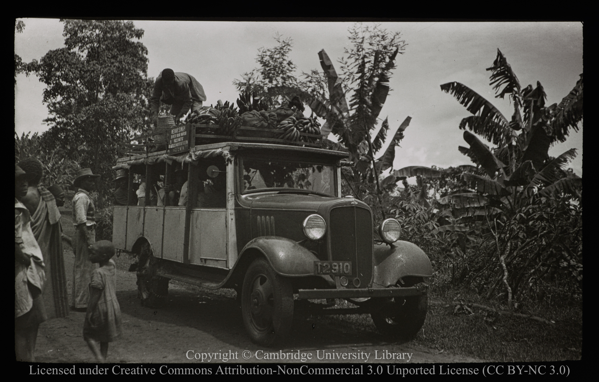 Bus and passengers by banana trees, 1937