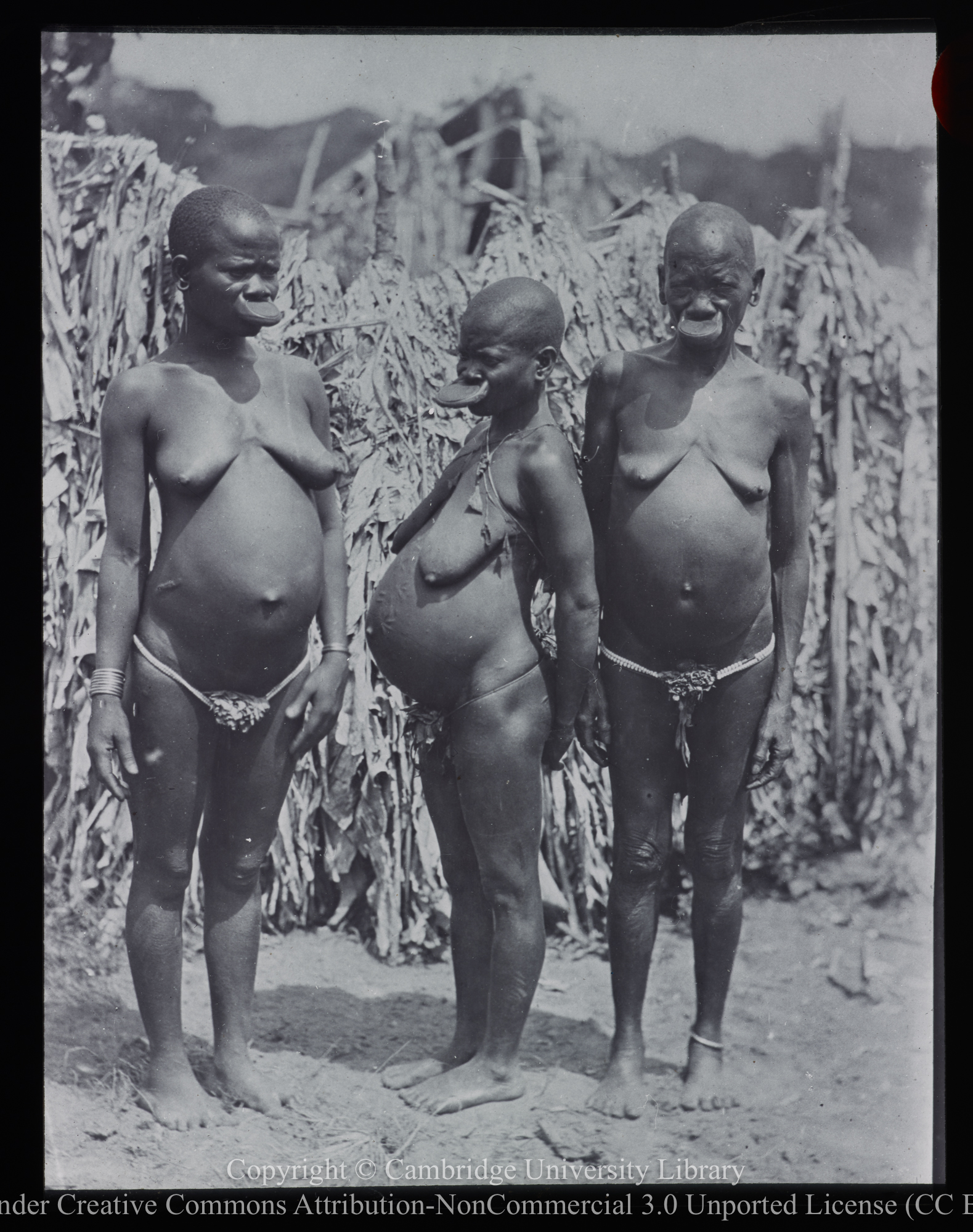 Three African women, 1892 - 1914