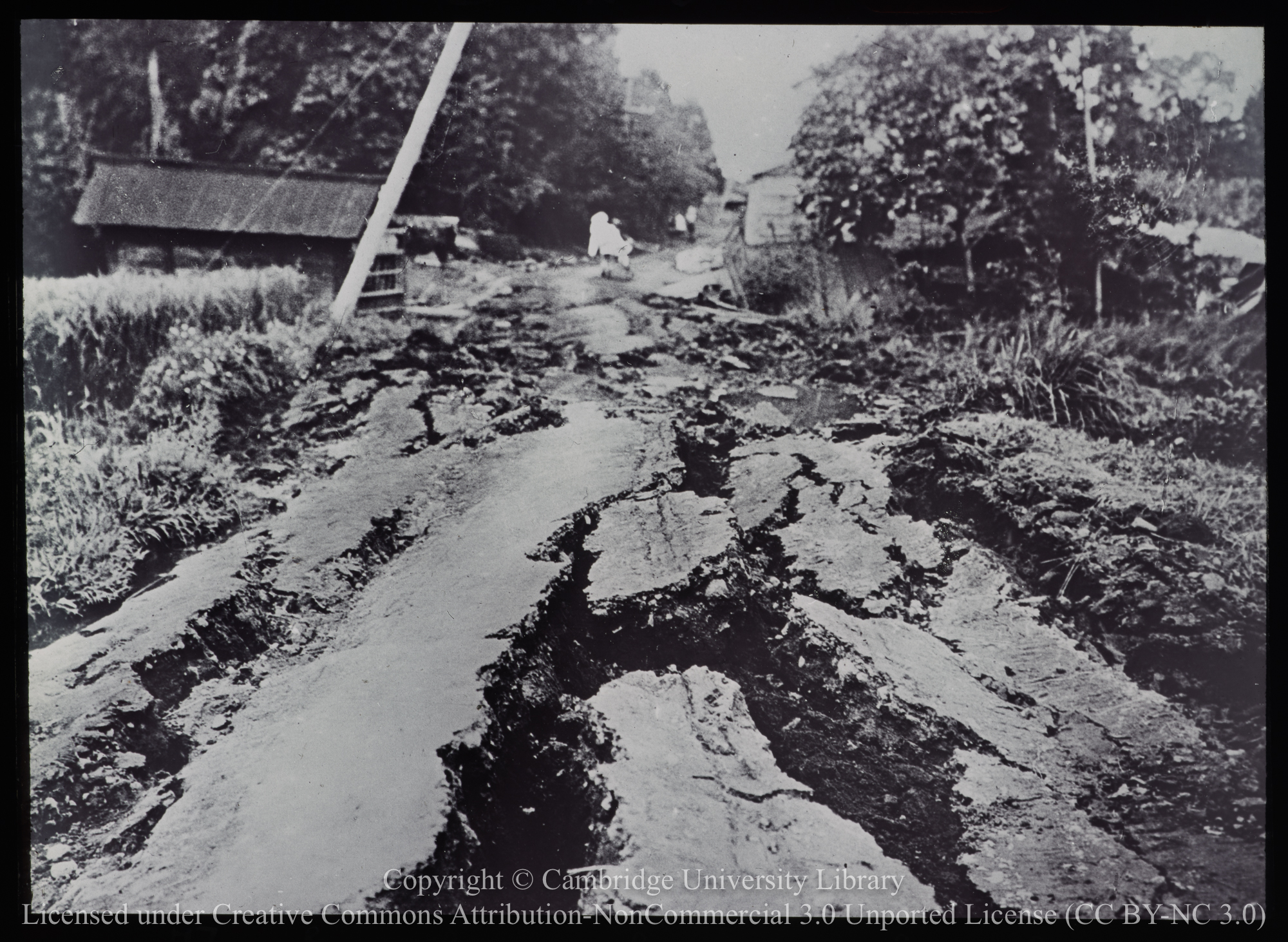 Cracks in country road caused by 1923 earthquake and typhoon, 1923