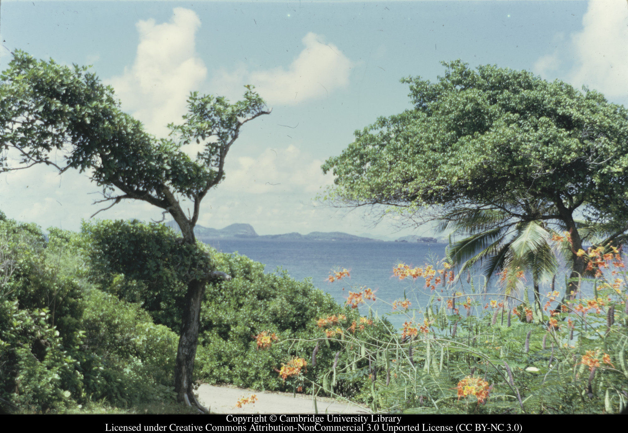 [View across bay : marked ? St V but all the early Feb 71 numbers are of St Lucia], 1971-02