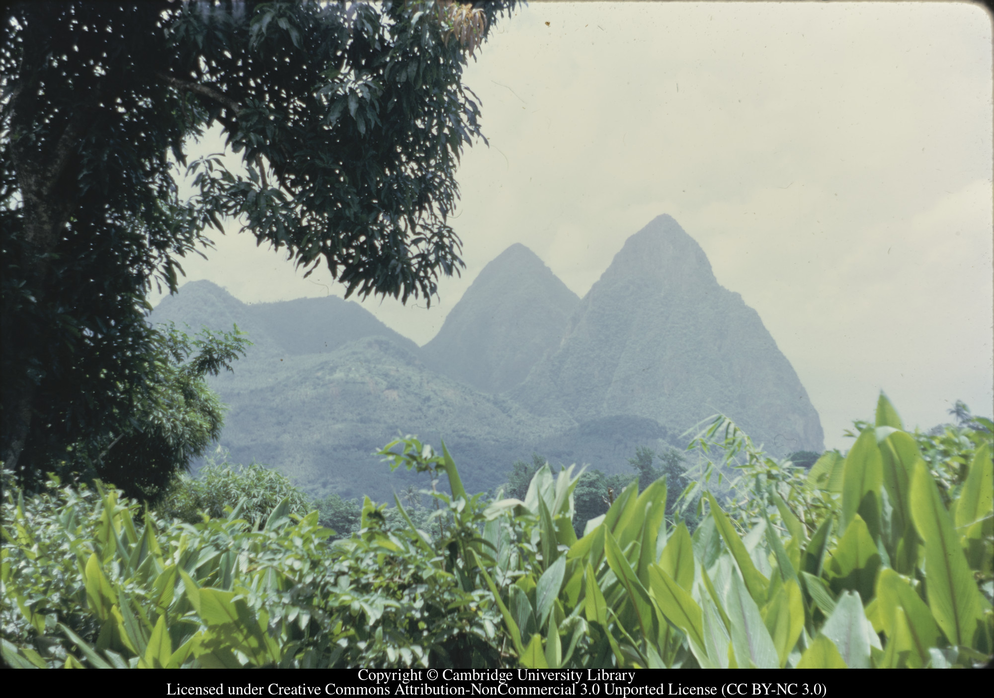 Pitons from north, 1971-02