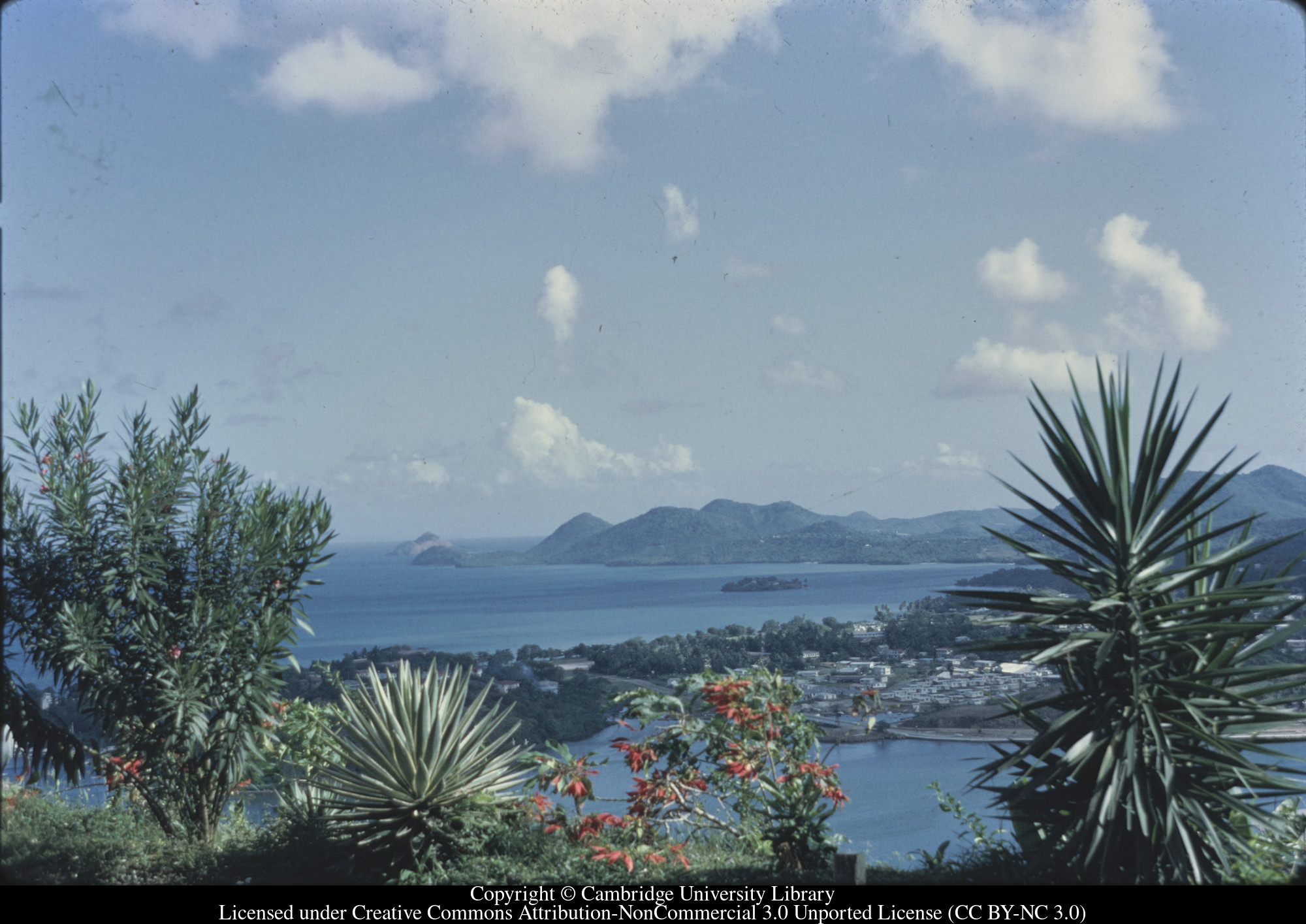 Castries from below Government House : Christmas card 1971, 1971-02