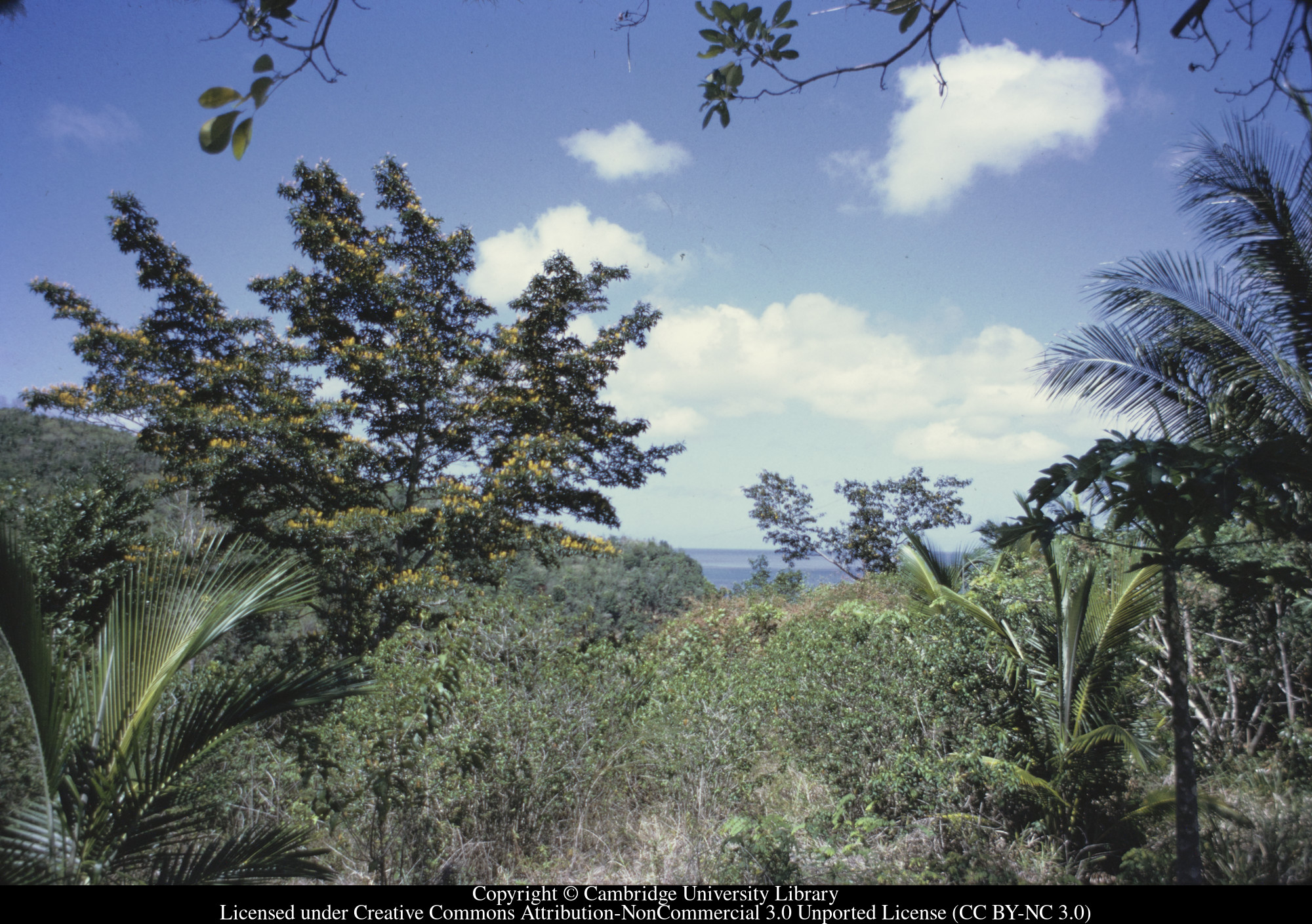 C [Ciceron] : view from approach, 1971-06