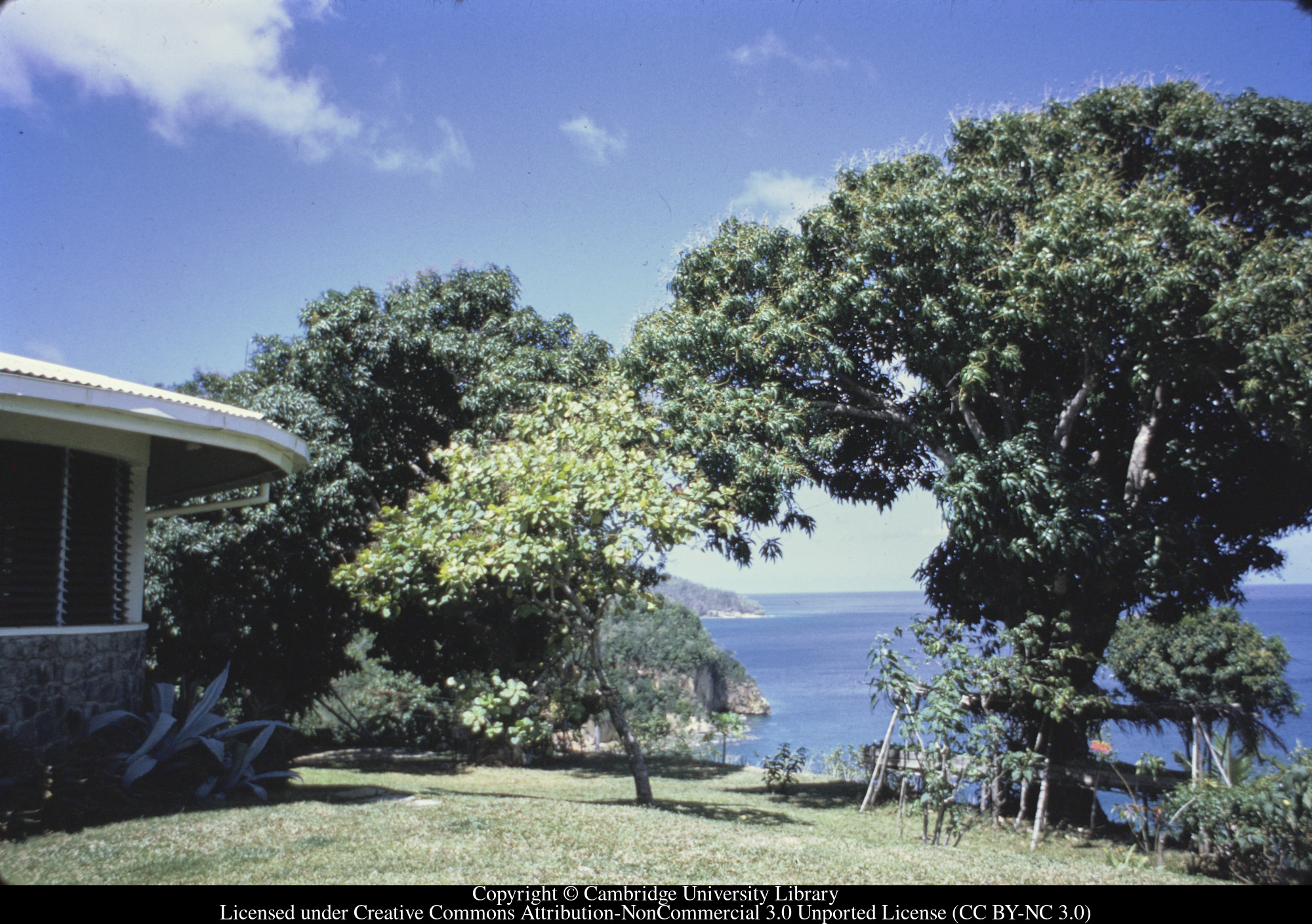 C [Ciceron] : lawn and sea, 1971-06