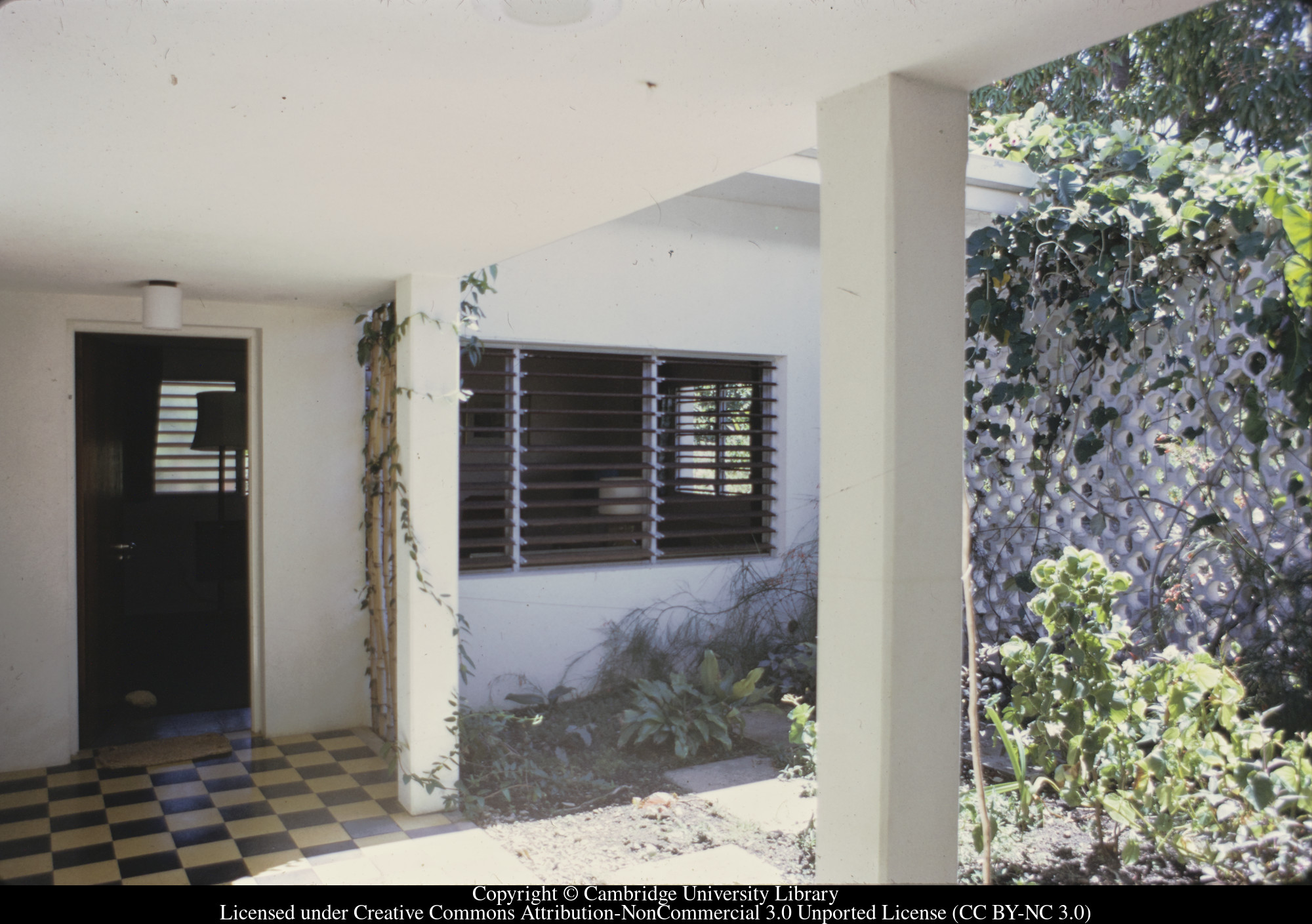 C [Ciceron] : patio garden, 1971-06