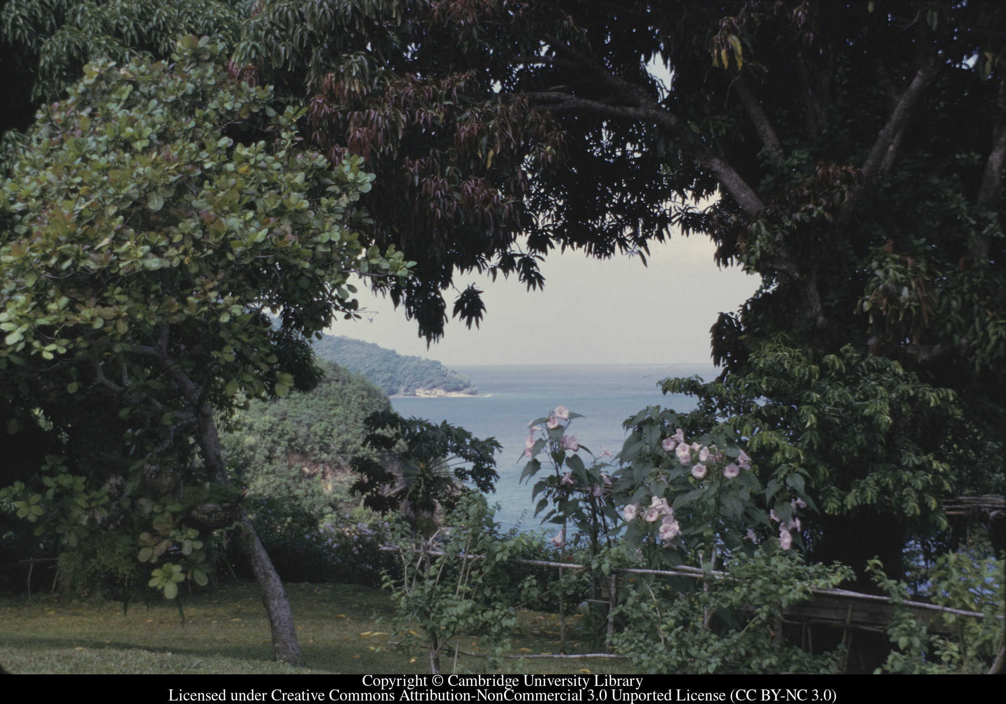 C [Ciceron] : lawn and sea, 1972-09