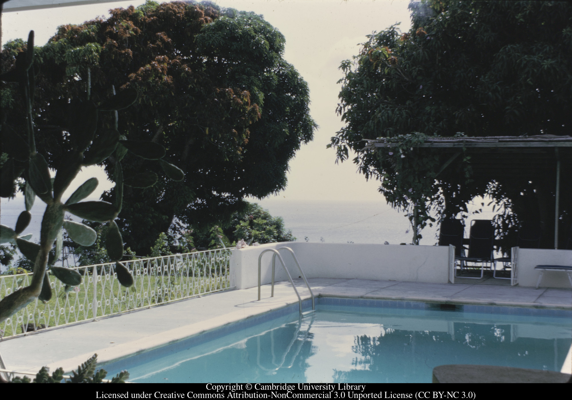 C [Ciceron] : pool, 1973-02