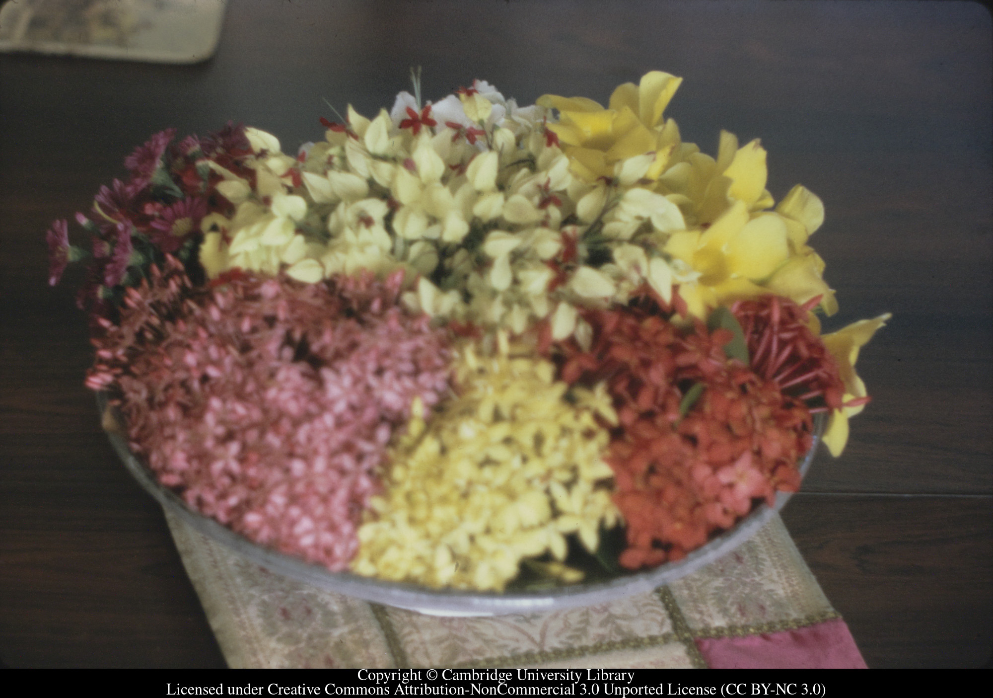 Bowl of flowers : three different Ixoras, Bleeding Heart, Allamanda, 1973-02