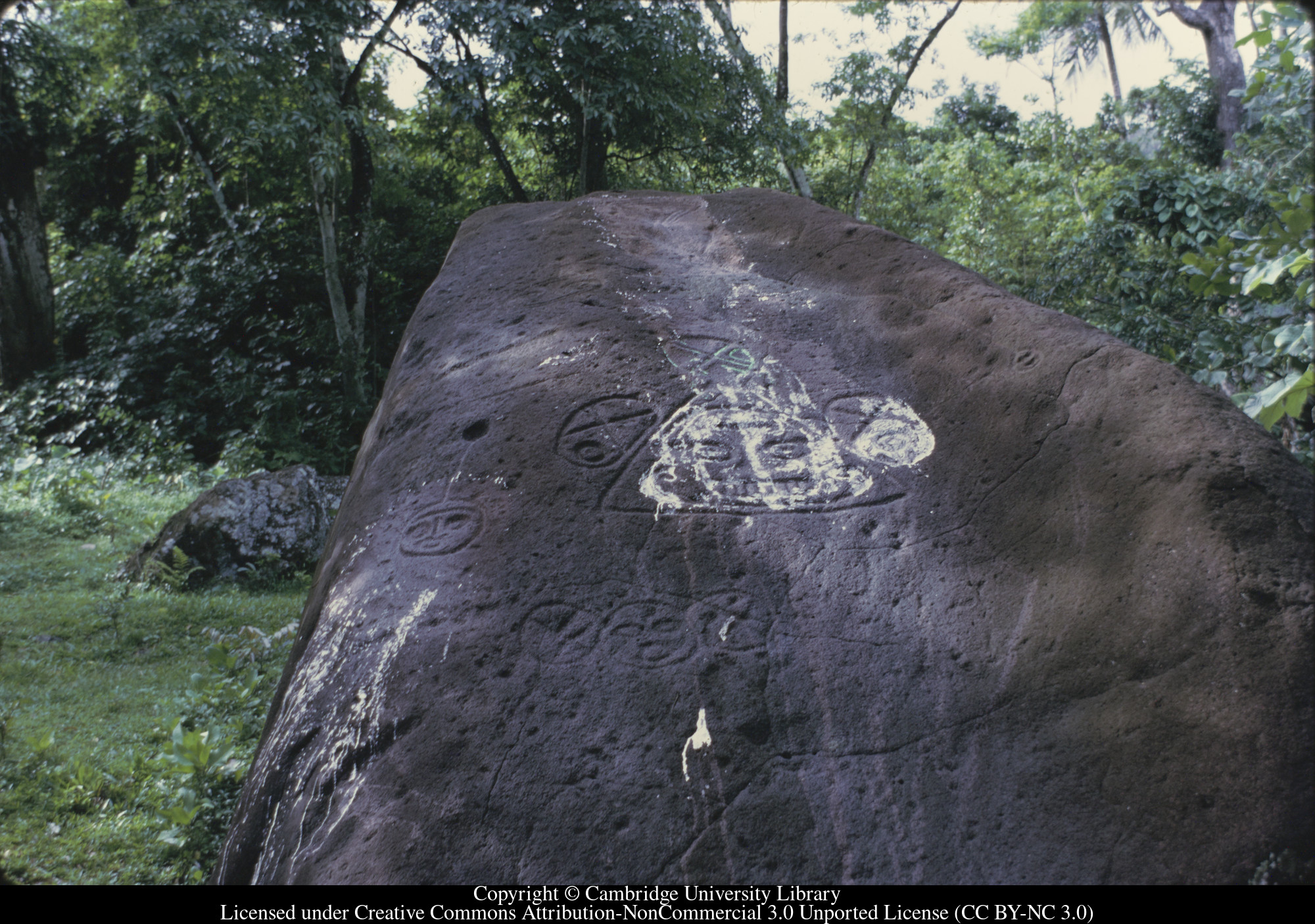 Carib rock engraving : on a walk with R.W. Piper shortly before he died, 1971-10