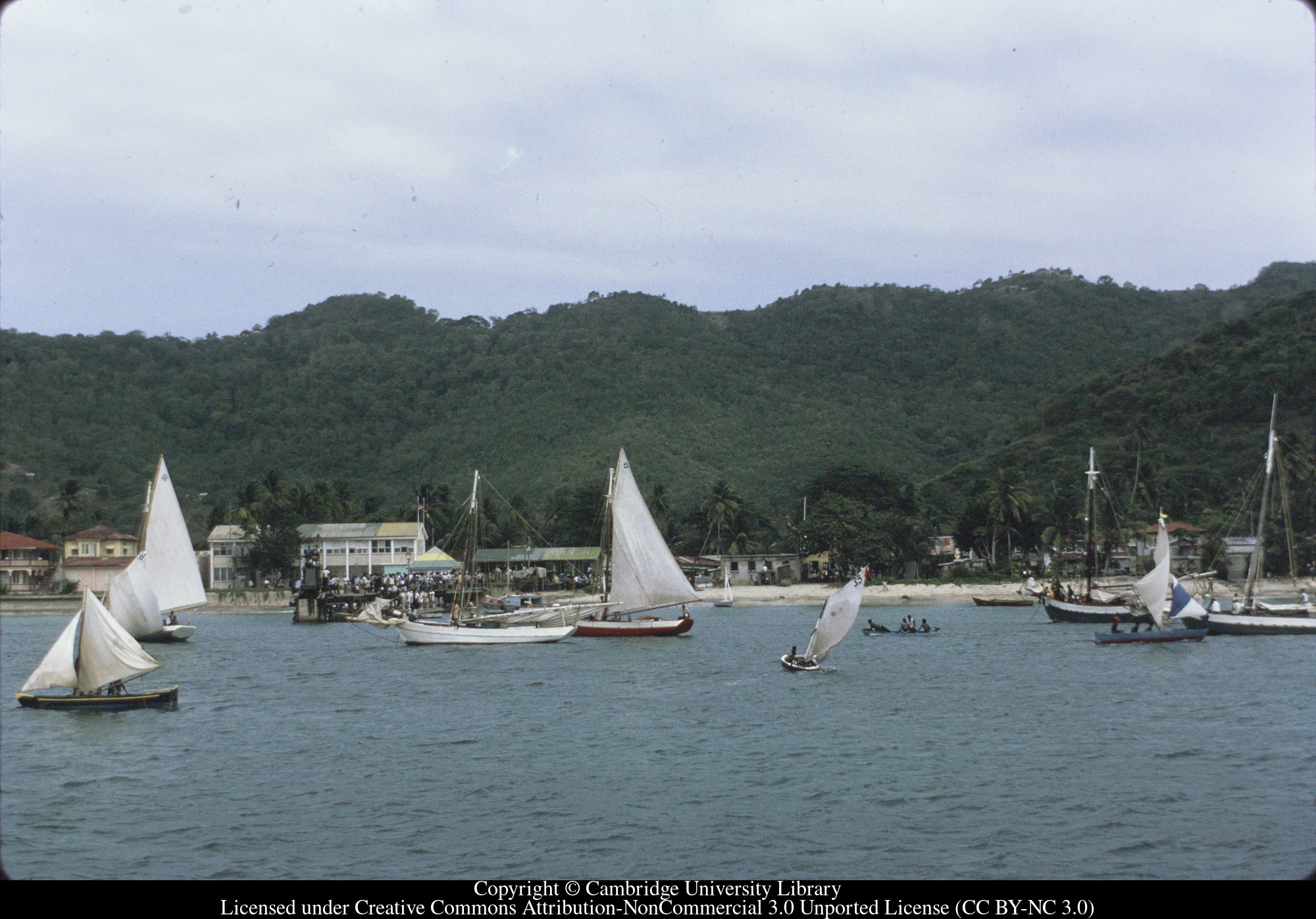 Carriacou regatta, 1971-10