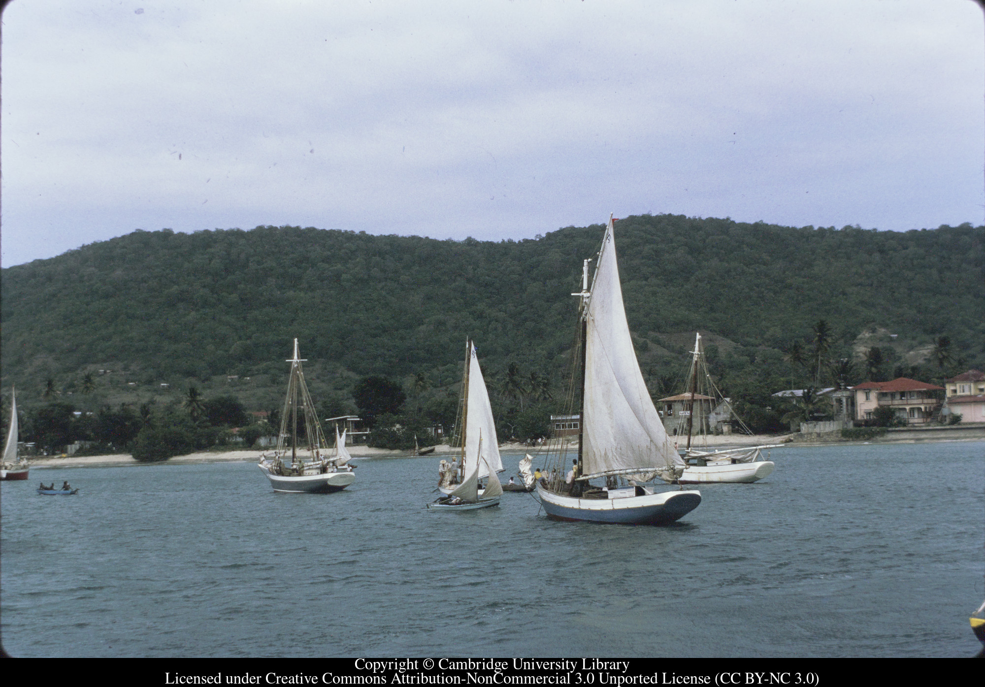 Carriacou regatta, 1971-10