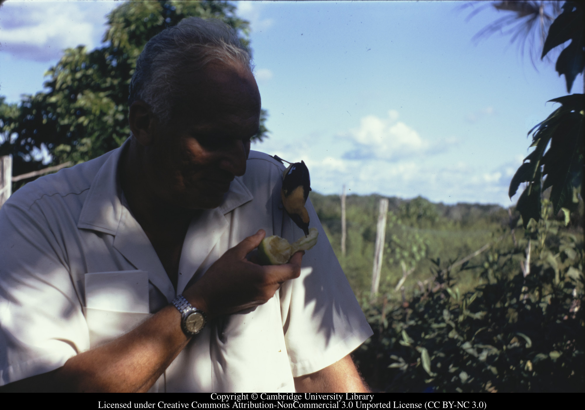 George Grandsoult and tame bird, Karanambo, 1970