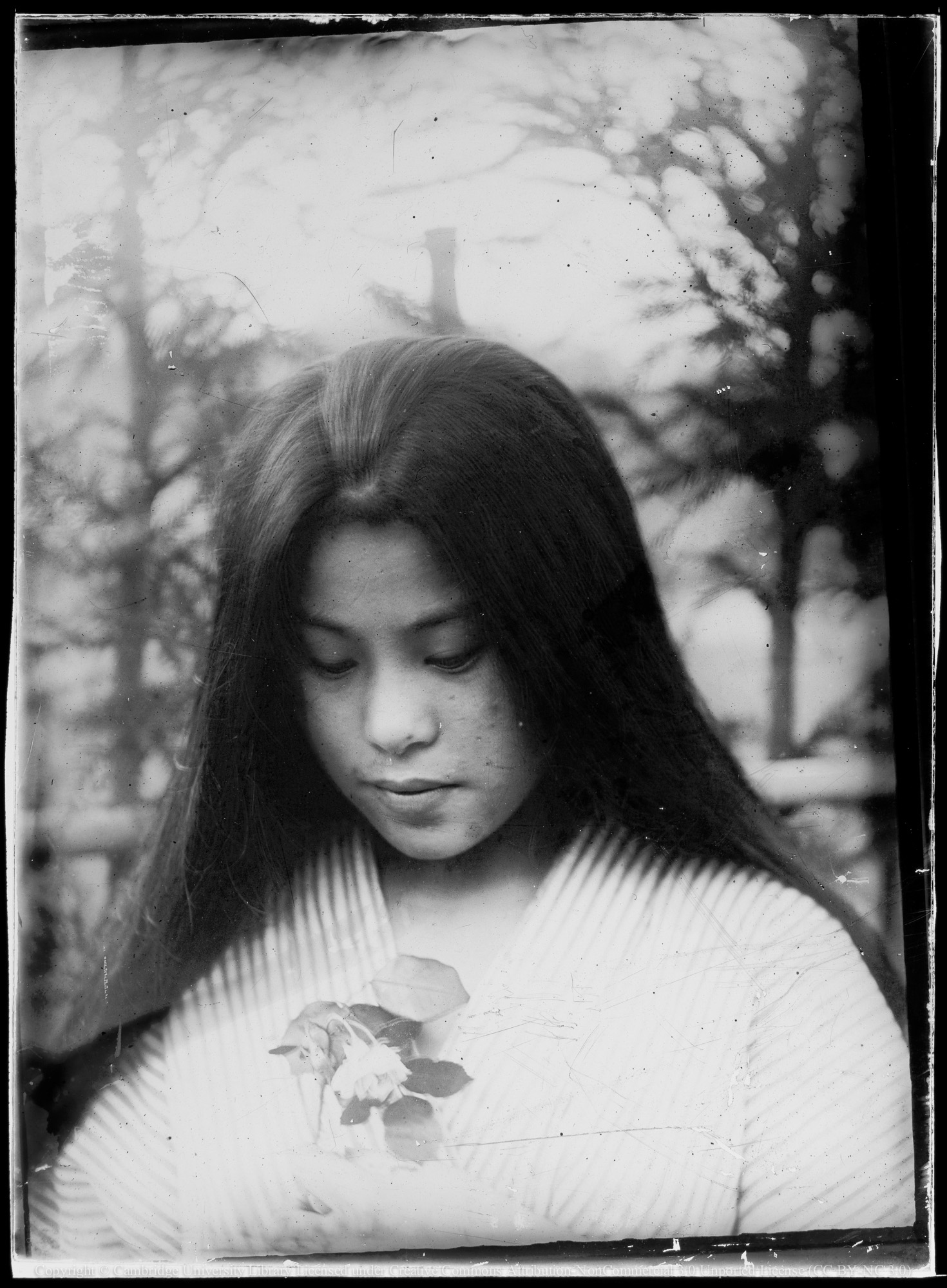 Japanese girl, 1890