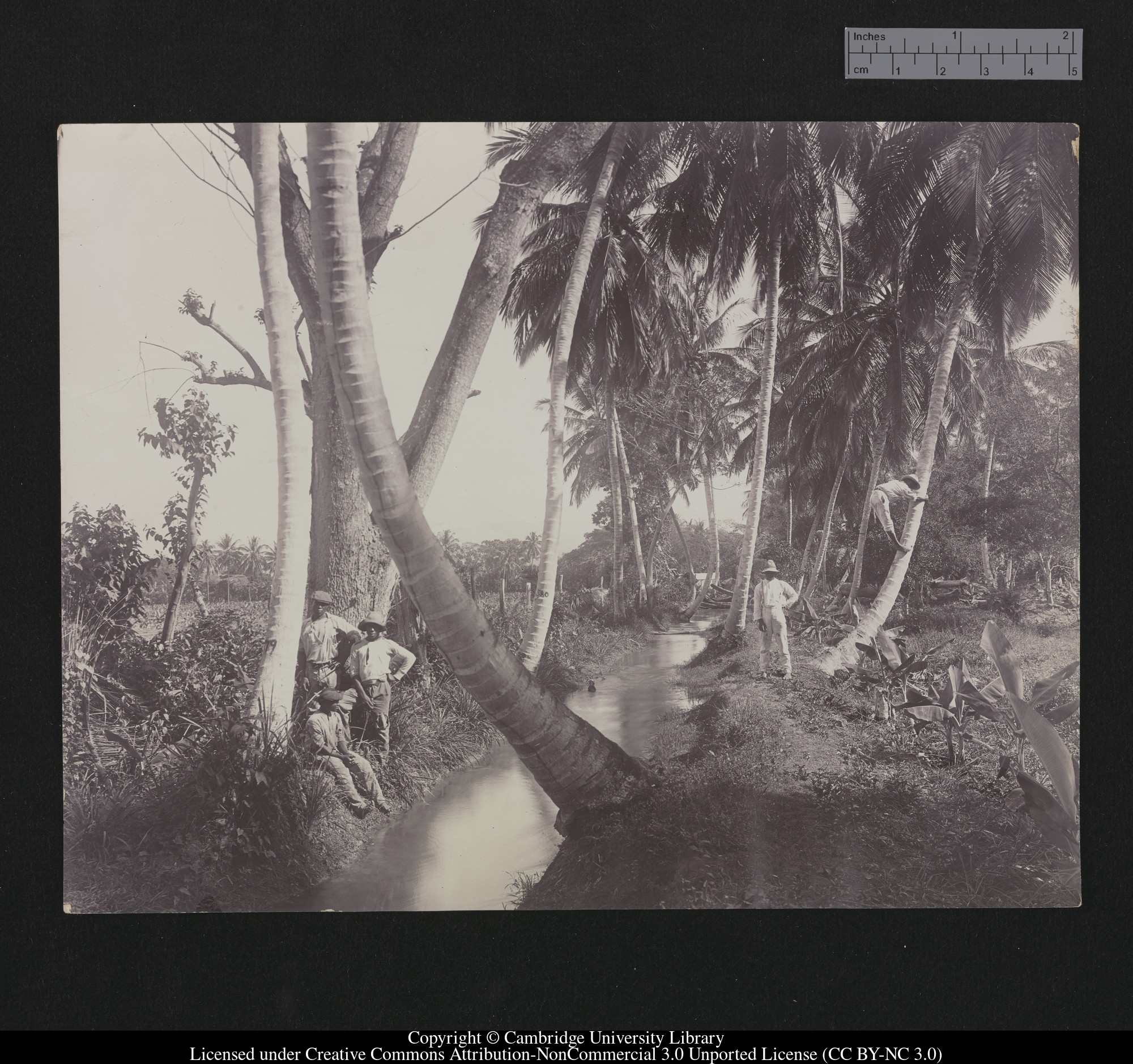 Rio Cobre Canal, 1879 - 1913