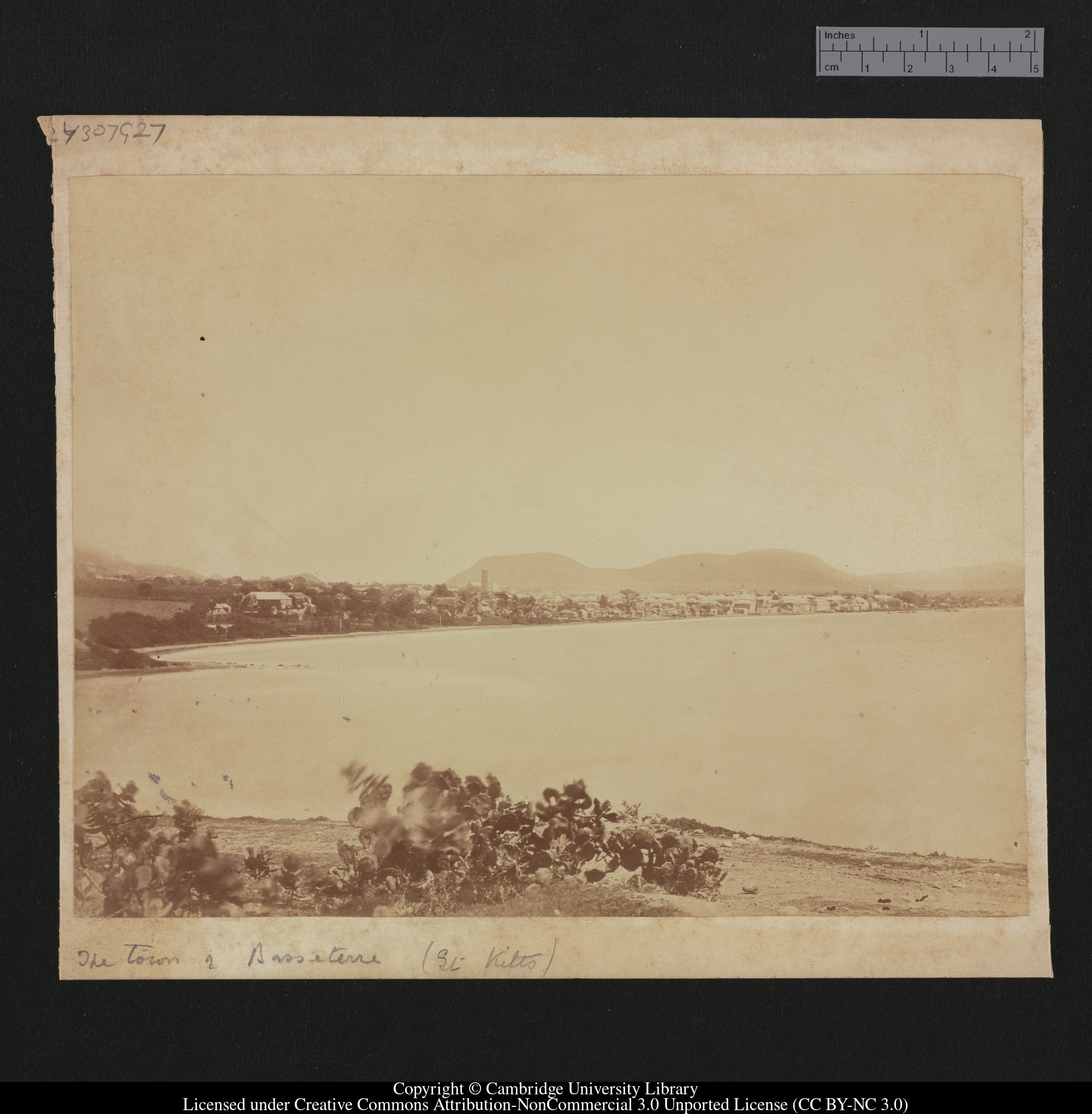 The town of Basseterra, St Kitts [i.e. Basseterre, Saint Kitts], 1879 - 1913