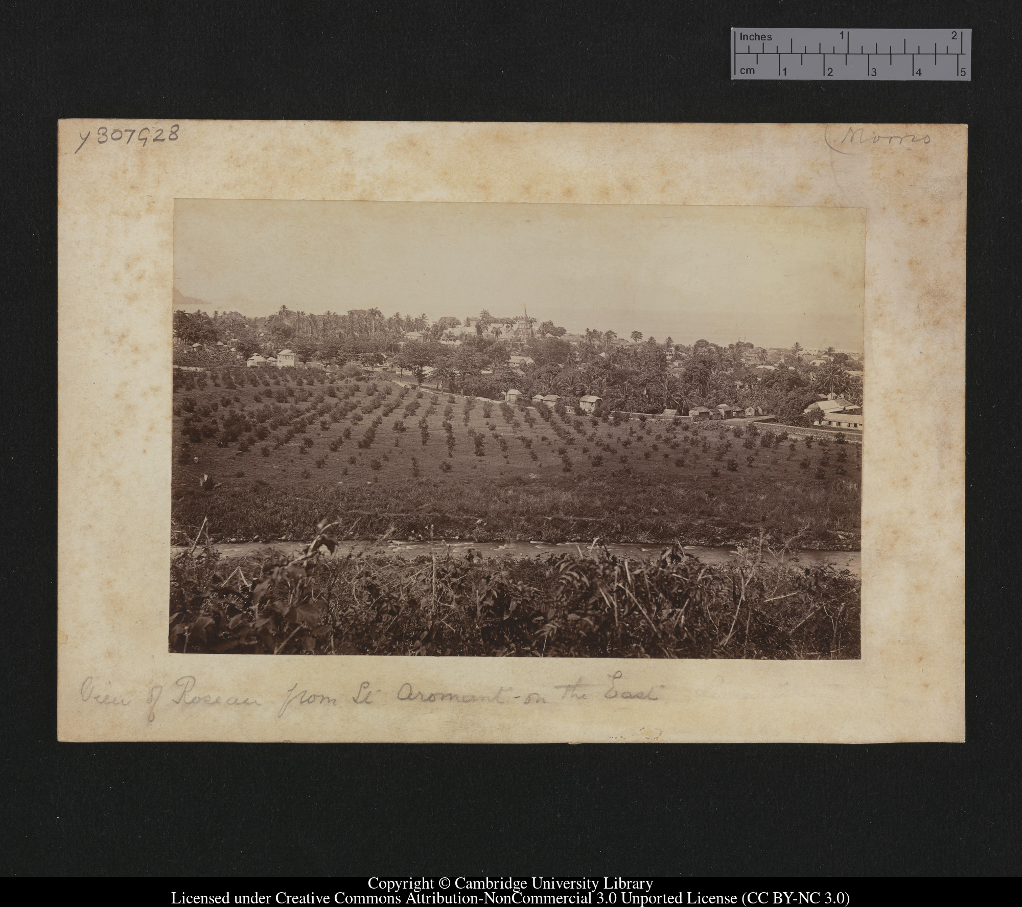 View of Roseau from St Aromant on the east, 1879 - 1913