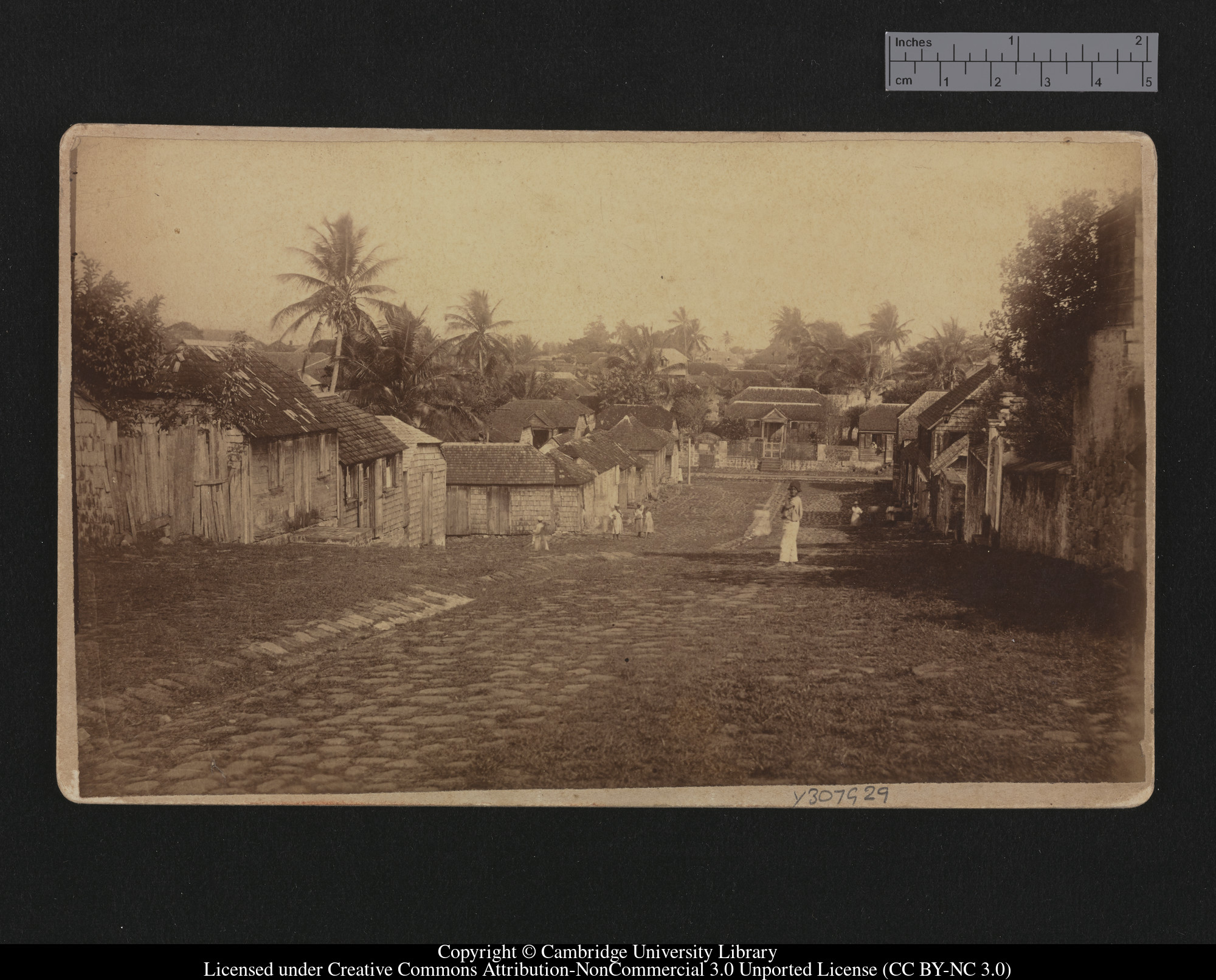 Chapel Street, Roseau, Dominica, W.I. [i.e. West Indies], 1879 - 1913