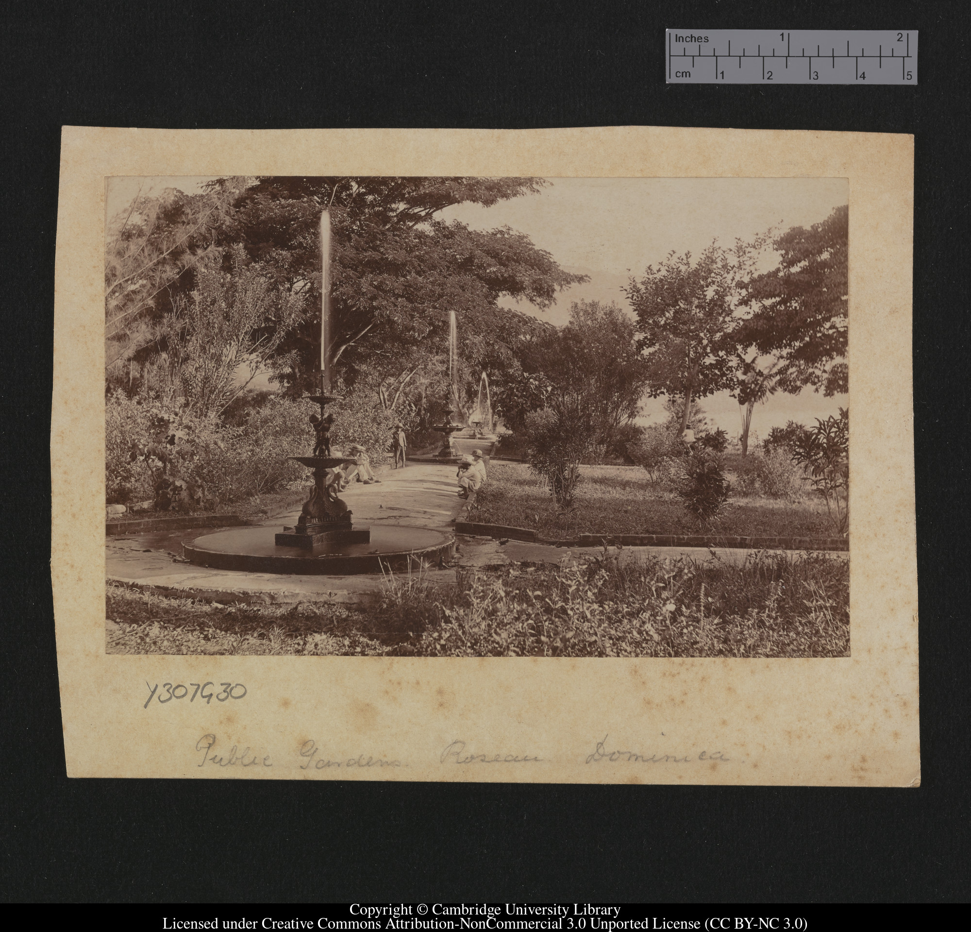 Public Gardens, Roseau, Dominica, 1879 - 1913