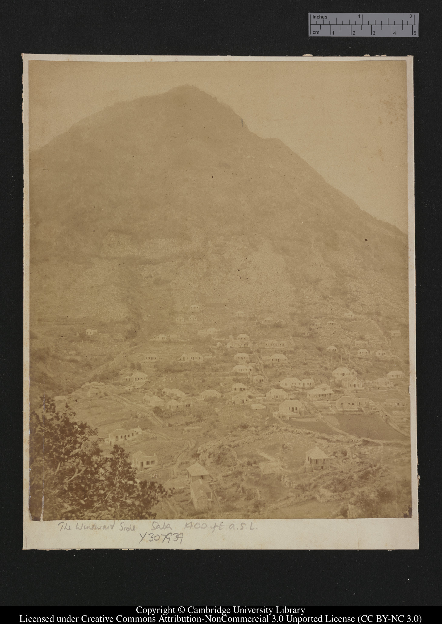 The Windward side Saba, 1400 ft above sea level, 1879 - 1913