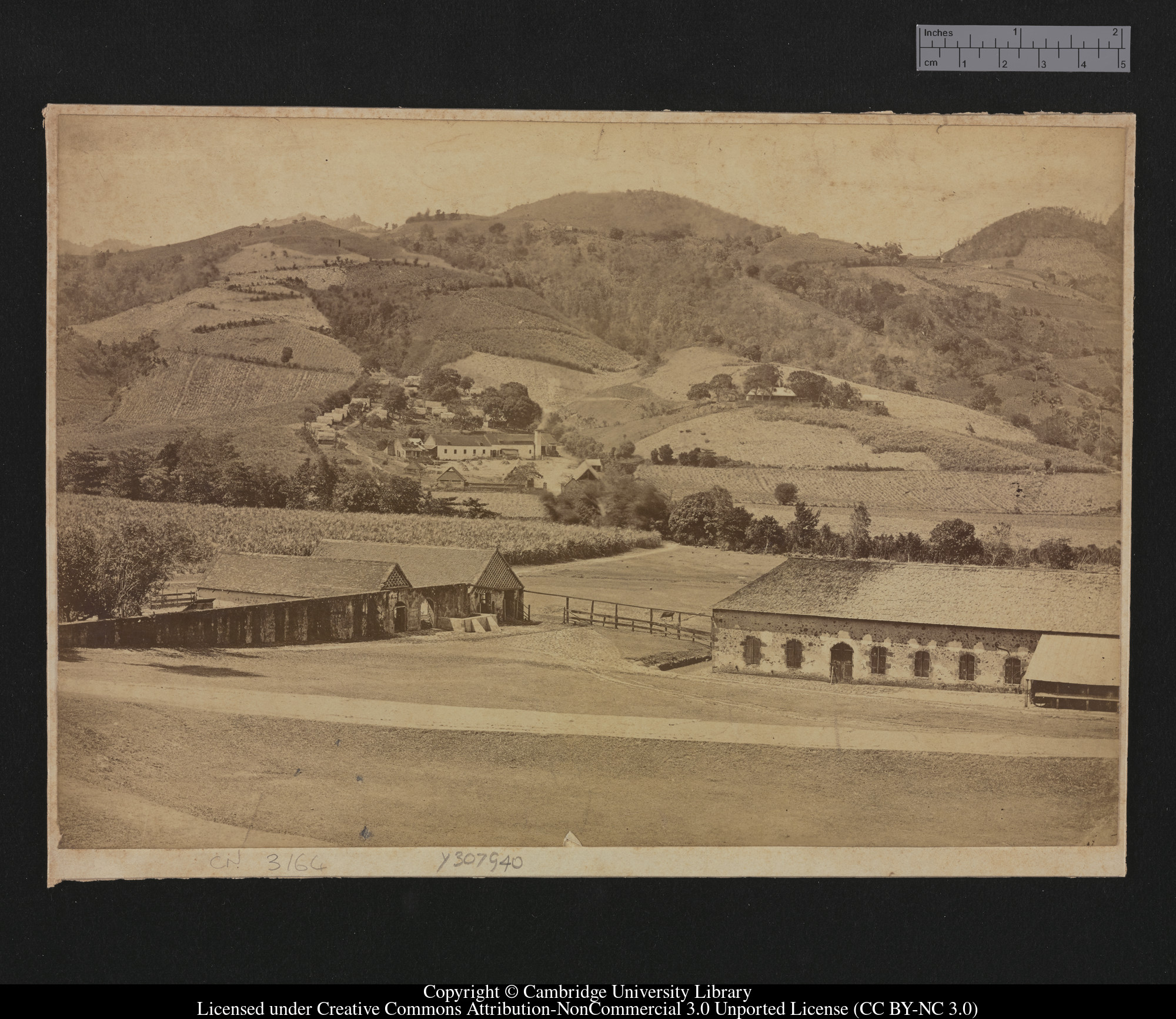 [West Indian Sugar Estate], 1879 - 1913