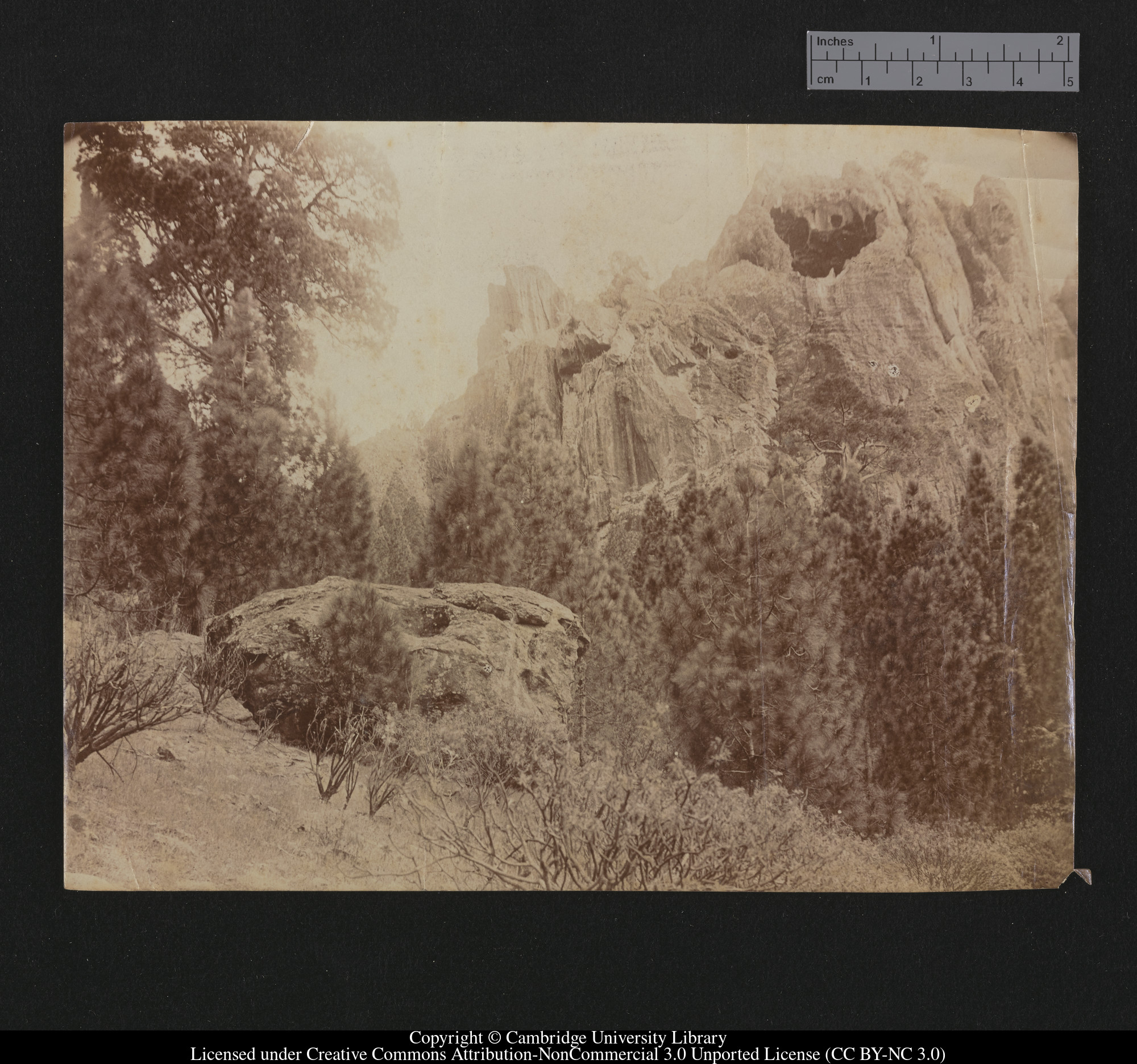 [Mountain], 1879 - 1913