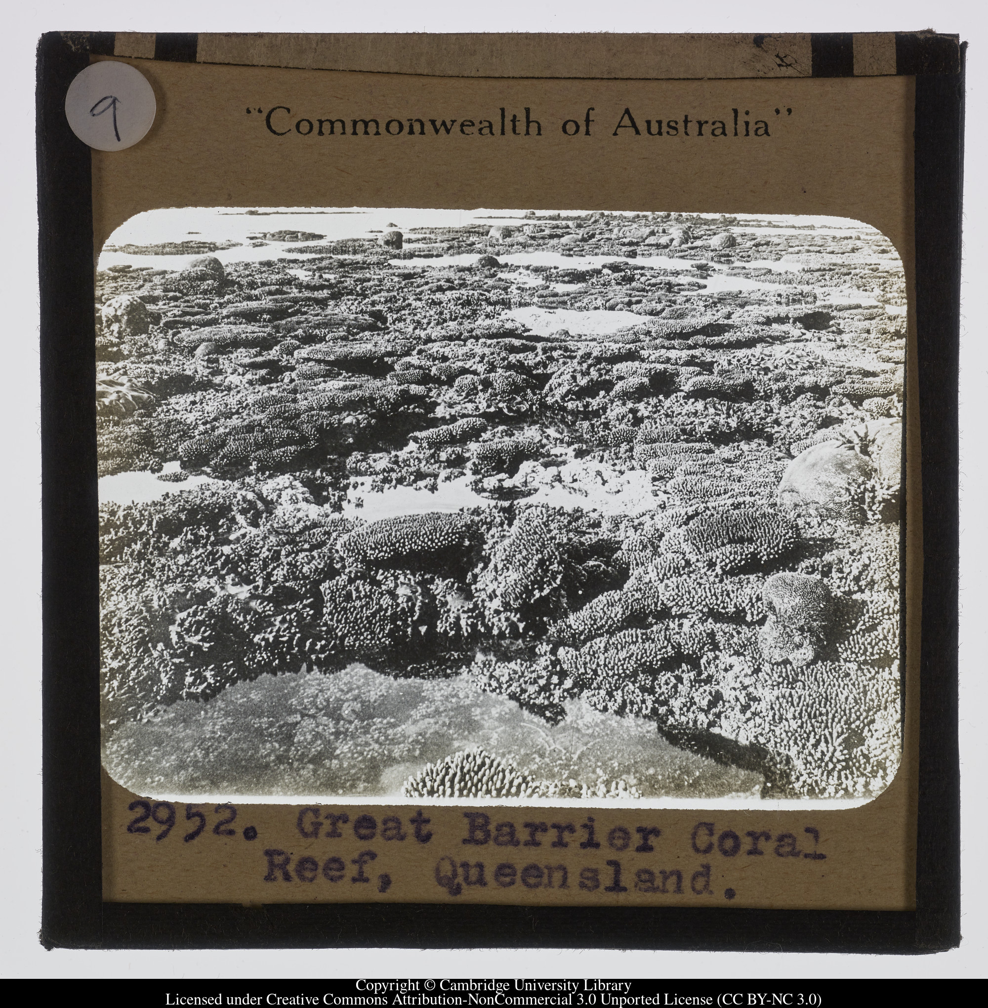 Great Barrier Reef, Queensland, 1900 - 1940