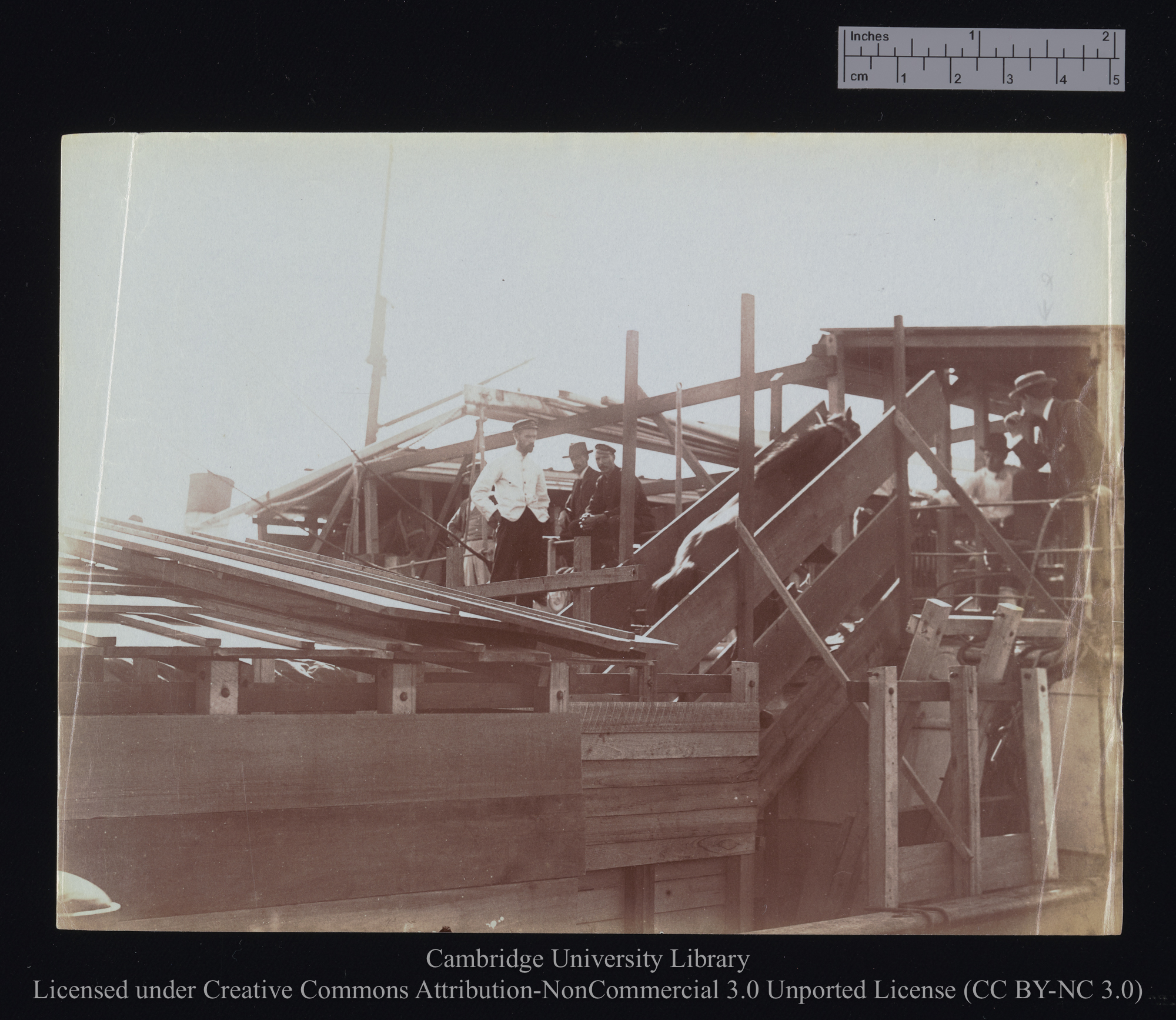 [A closer view of a steep gangway with horse ascending it], 1899 - 1901