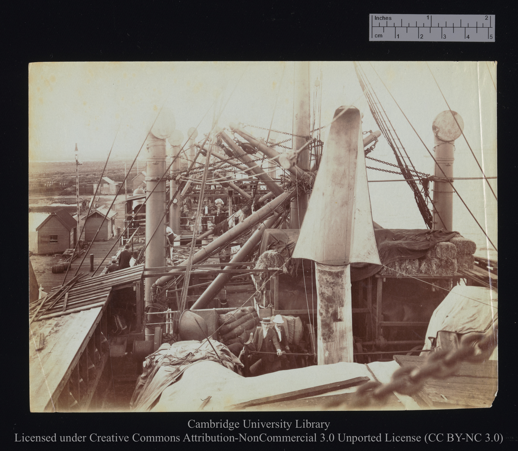 [View looking down through ship&#39;s superstructure to stable below], 1899 - 1901