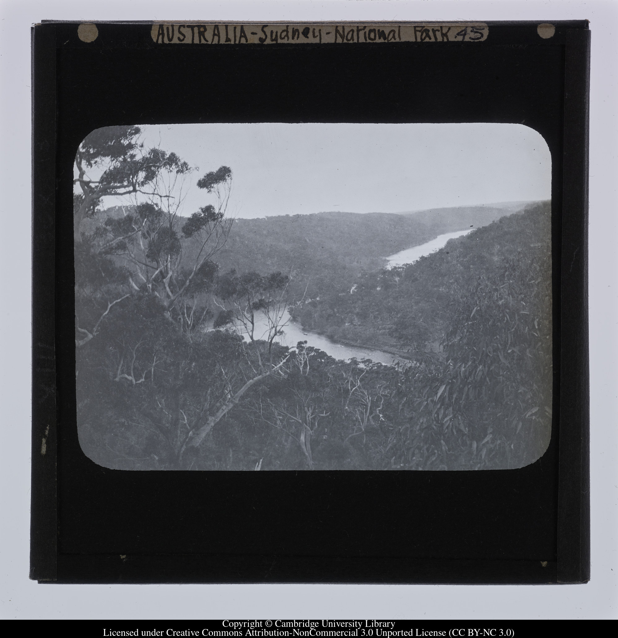 Australia - Sydney - National Park [i.e. Royal National Park], 1908 - 1909