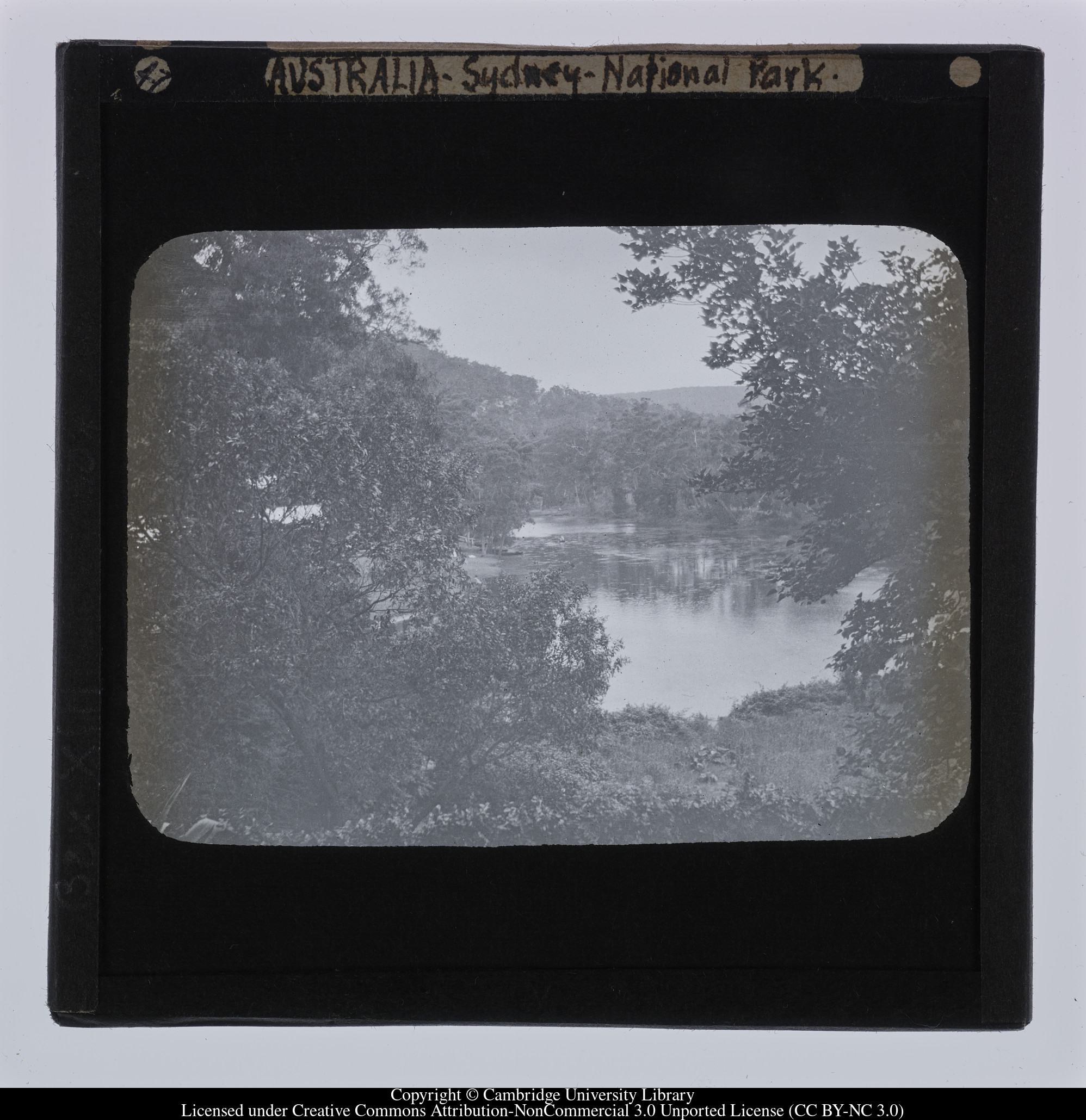 Australia - Sydney - National Park [i.e. Royal National Park], 1908 - 1909