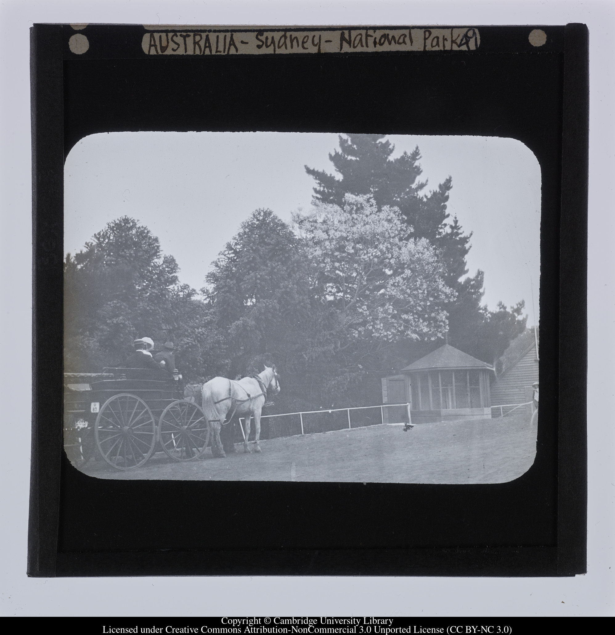 Australia - Sydney - National Park [i.e. Royal National Park], 1908 - 1909