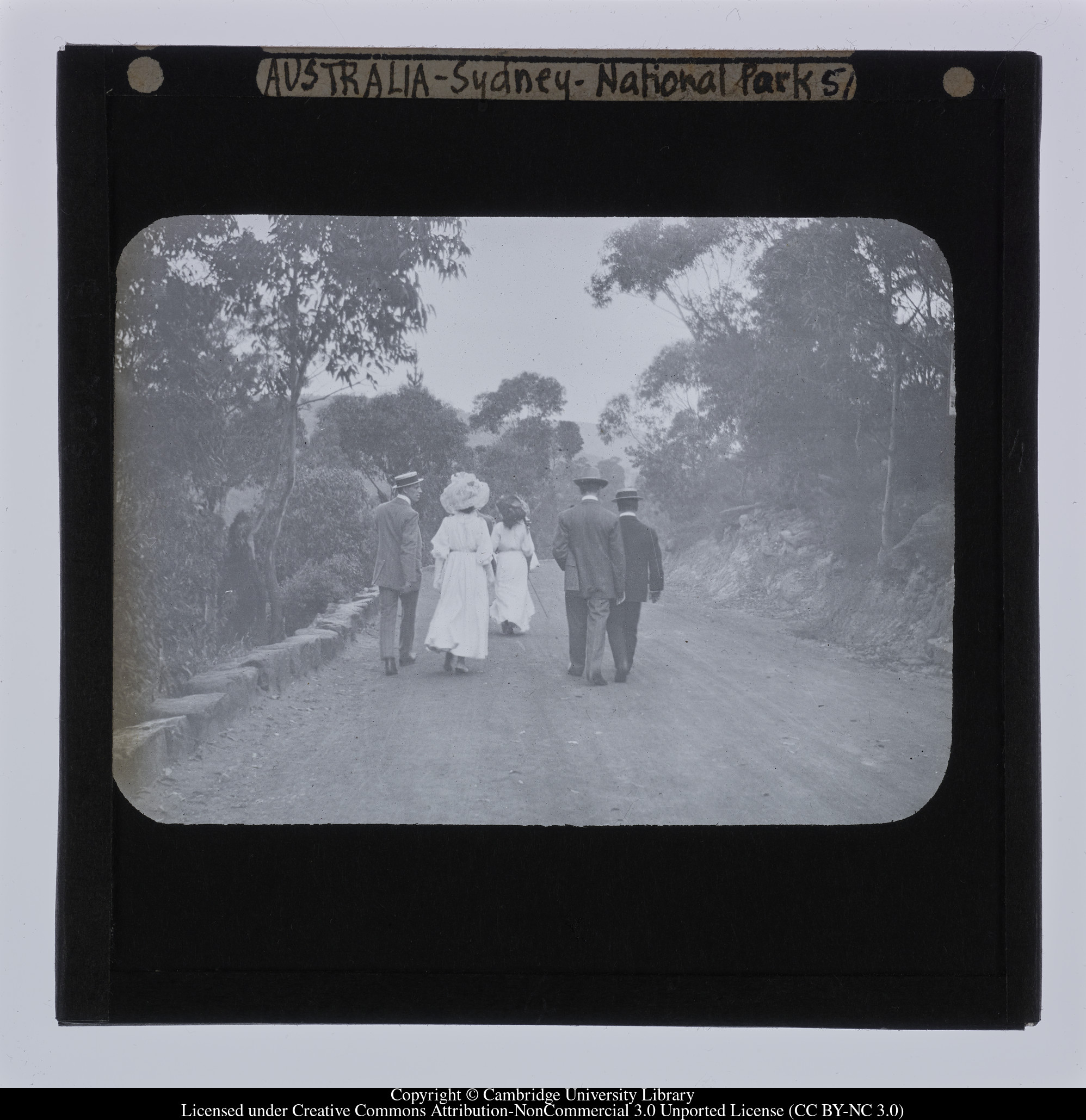 Australia - Sydney - National Park [i.e. Royal National Park], 1908 - 1909