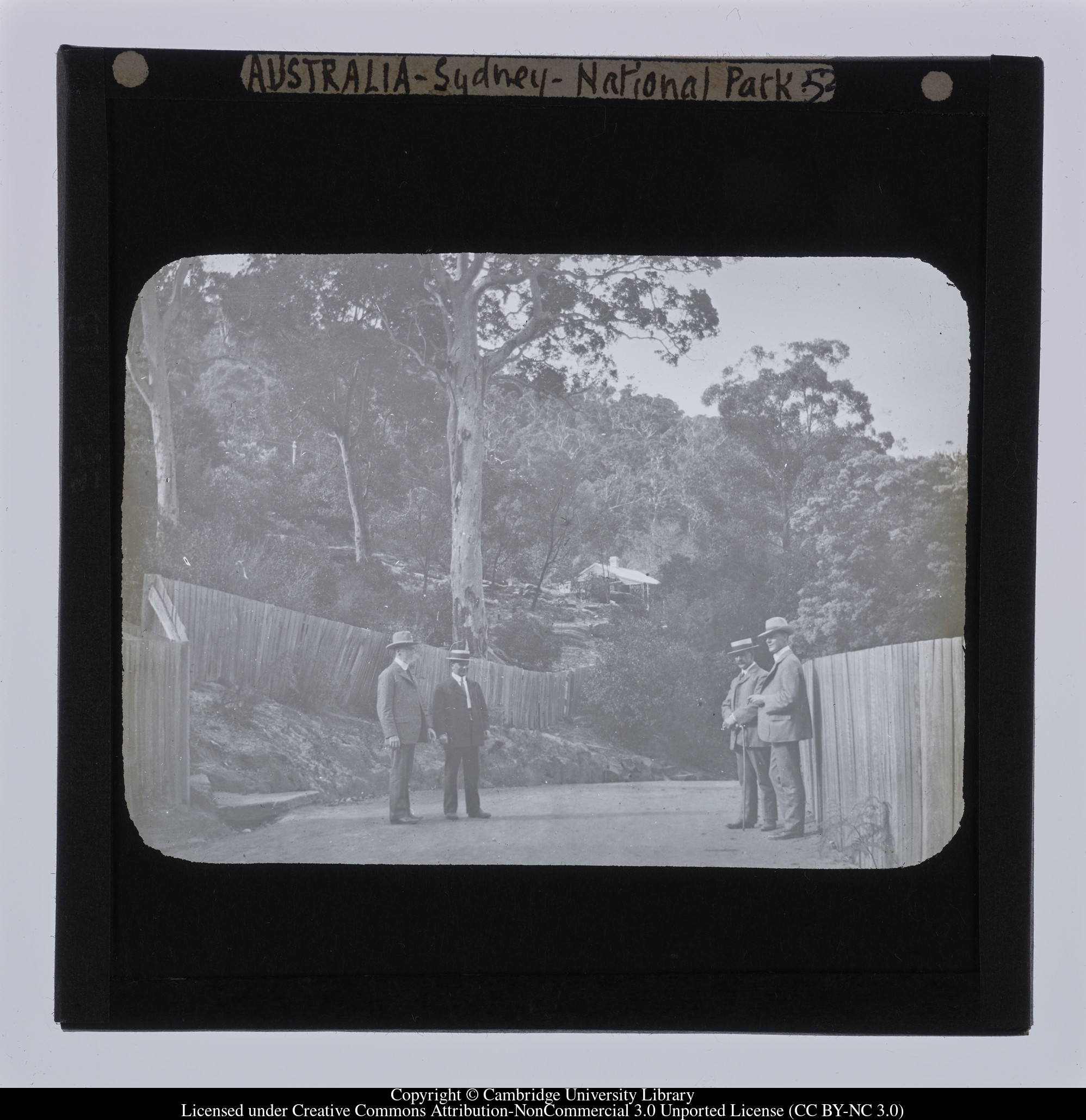 Australia - Sydney - National Park [i.e. Royal National Park], 1908 - 1909