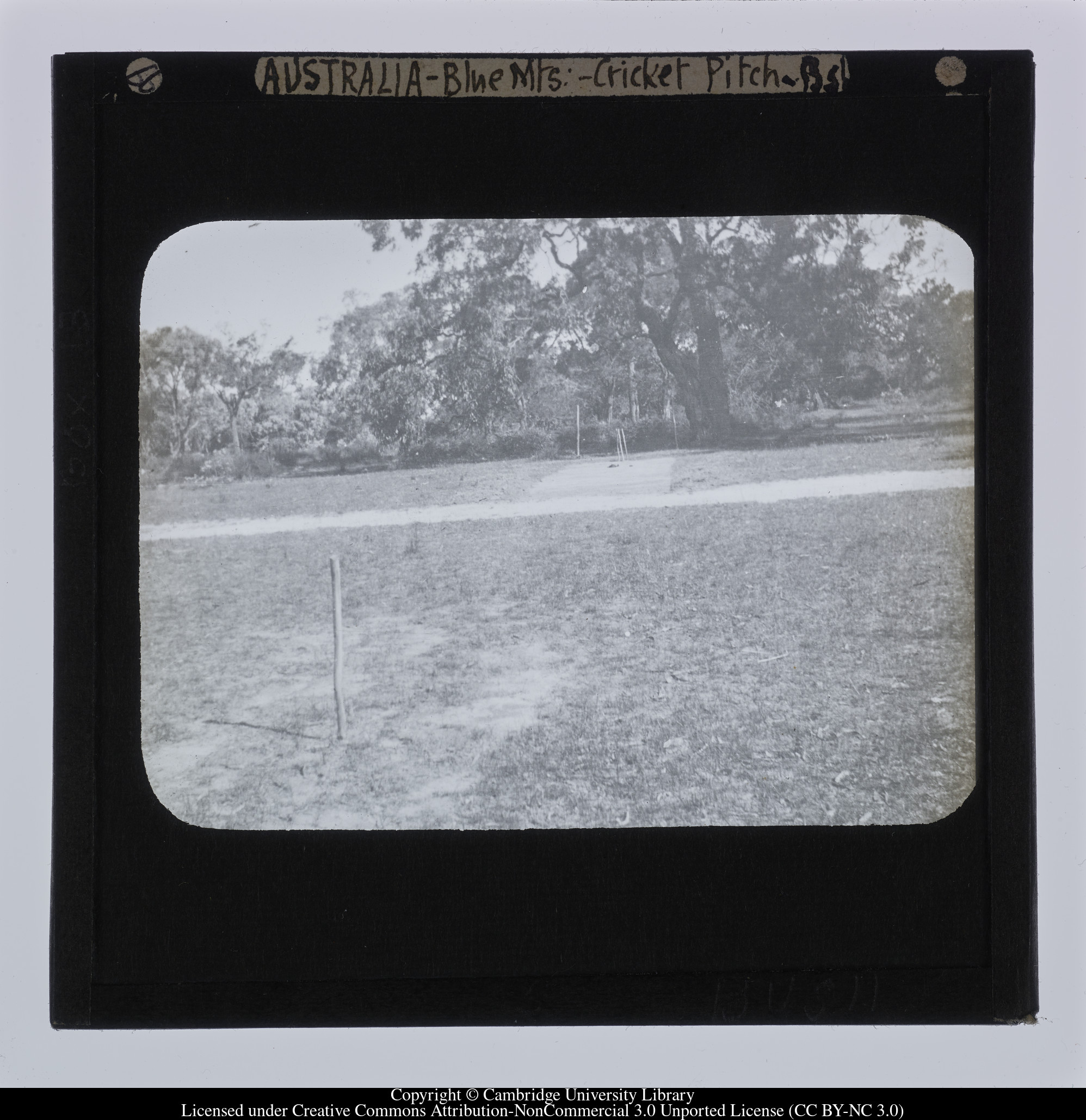 Australia - Blue Mts [i.e. Blue Mountains] - Cricket Pitch, 1909