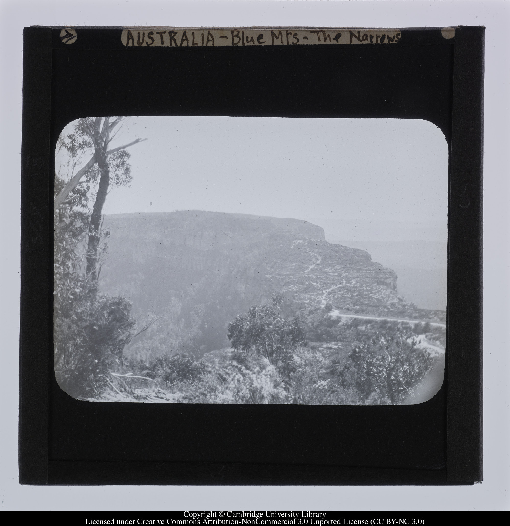 Australia - Blue Mts [i.e. Blue Mountains] - The Narrows, 1909