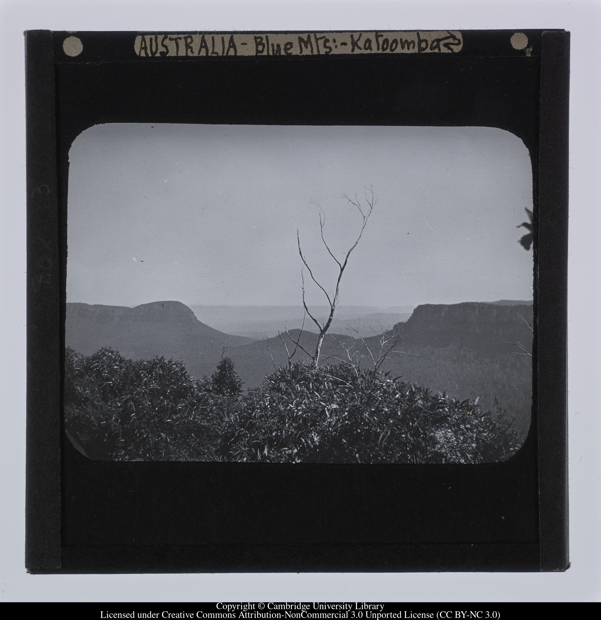 Australia - Blue Mts [i.e. Blue Mountains] - Katoomba, 1909