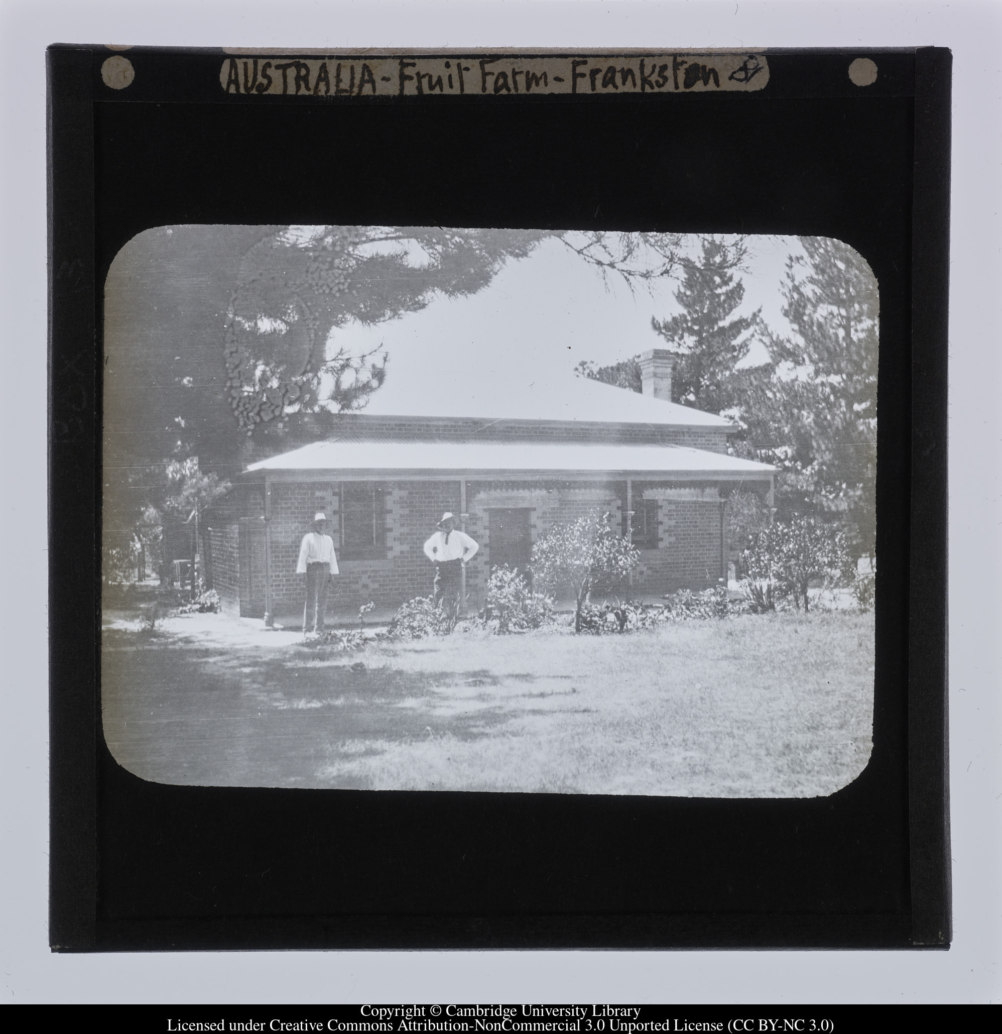 Australia - Fruit Farm - Frankston [Victoria], 1909